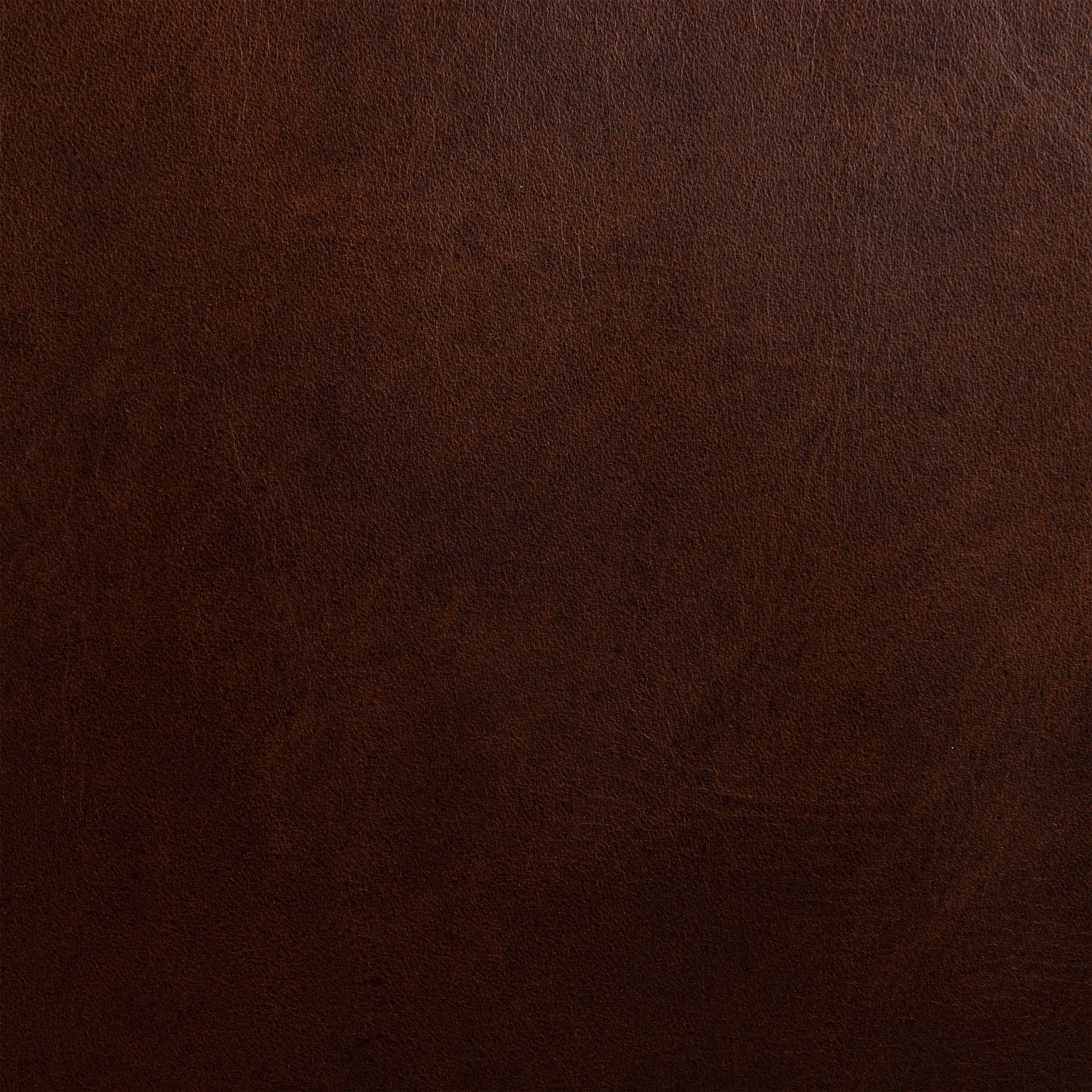Herstal Leather Lounge Chair | Oscuro Brown 
