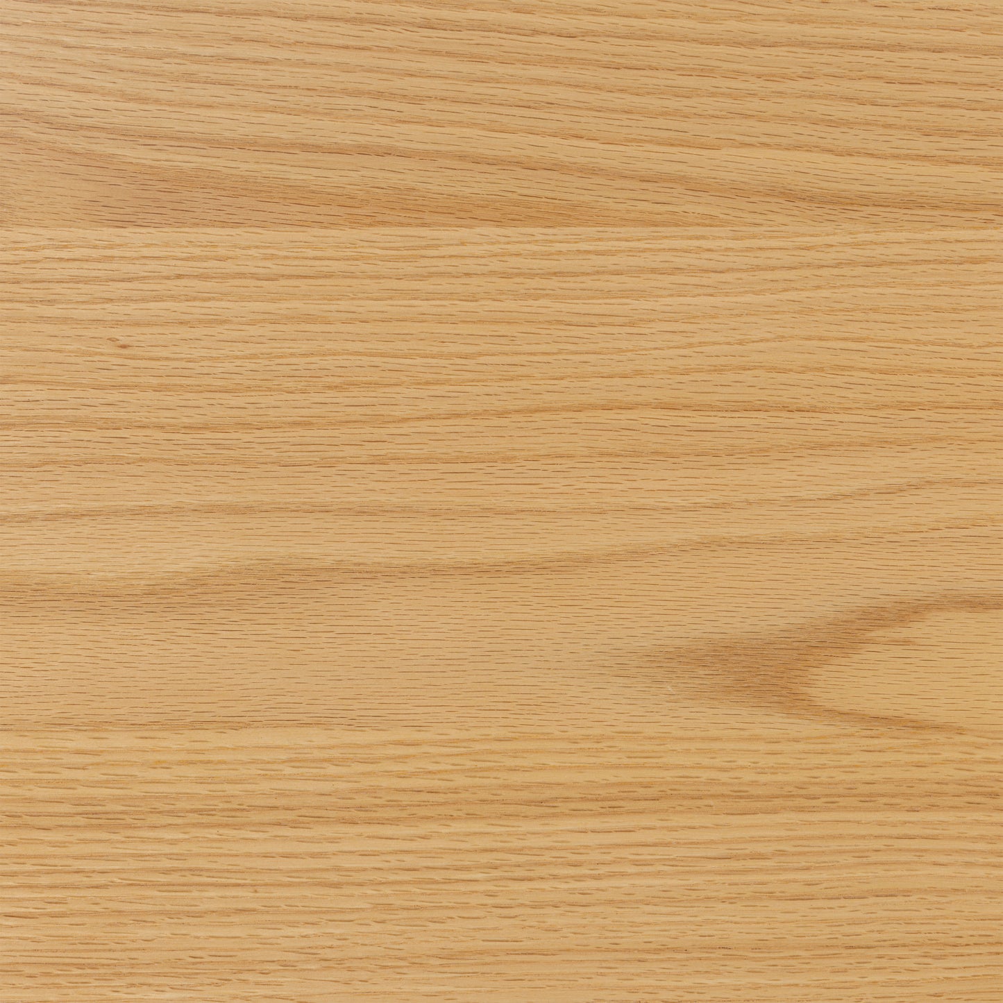 Ronda Storage Coffee Table | Oak