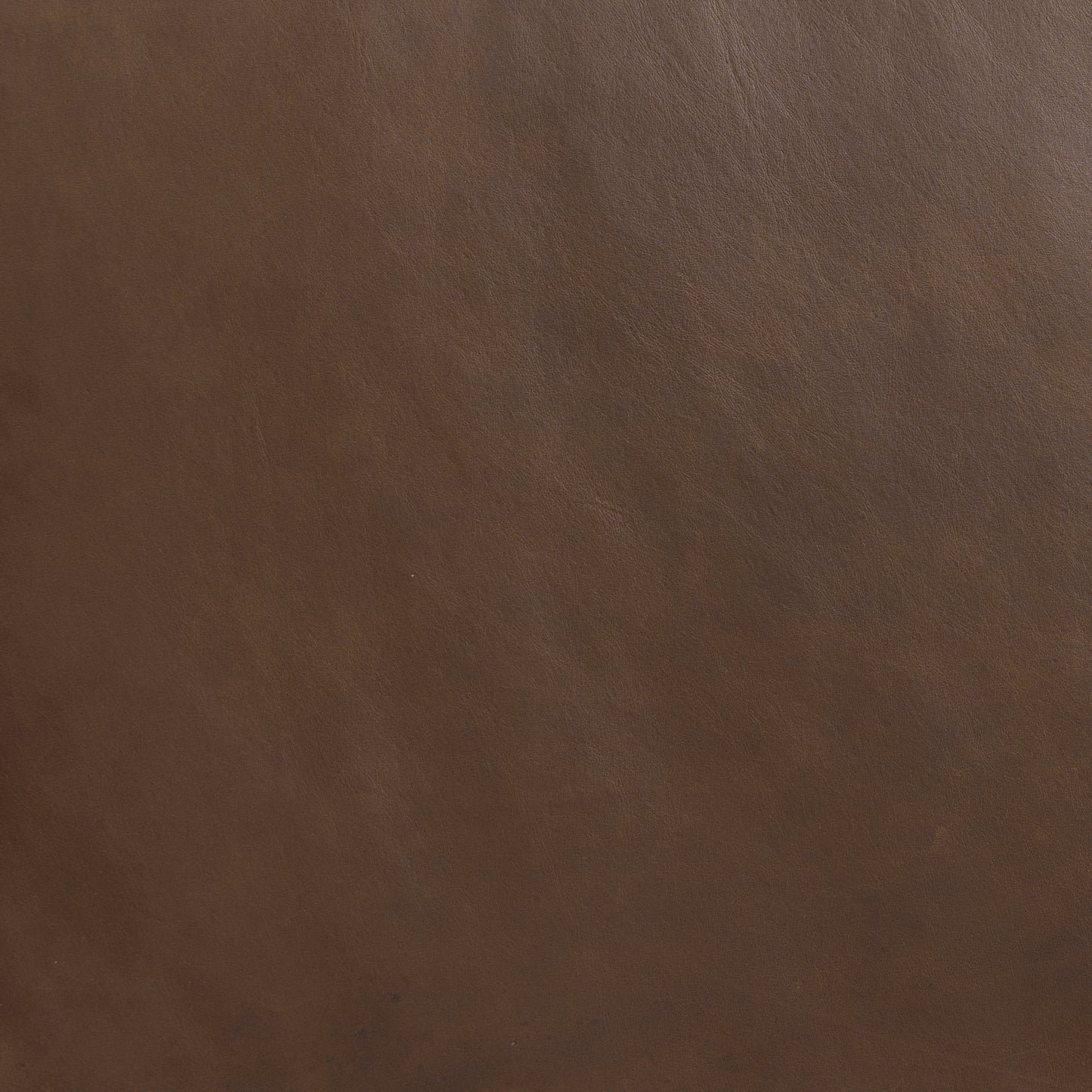 Cura 53.5" Leather Bench | Cocoa Brown