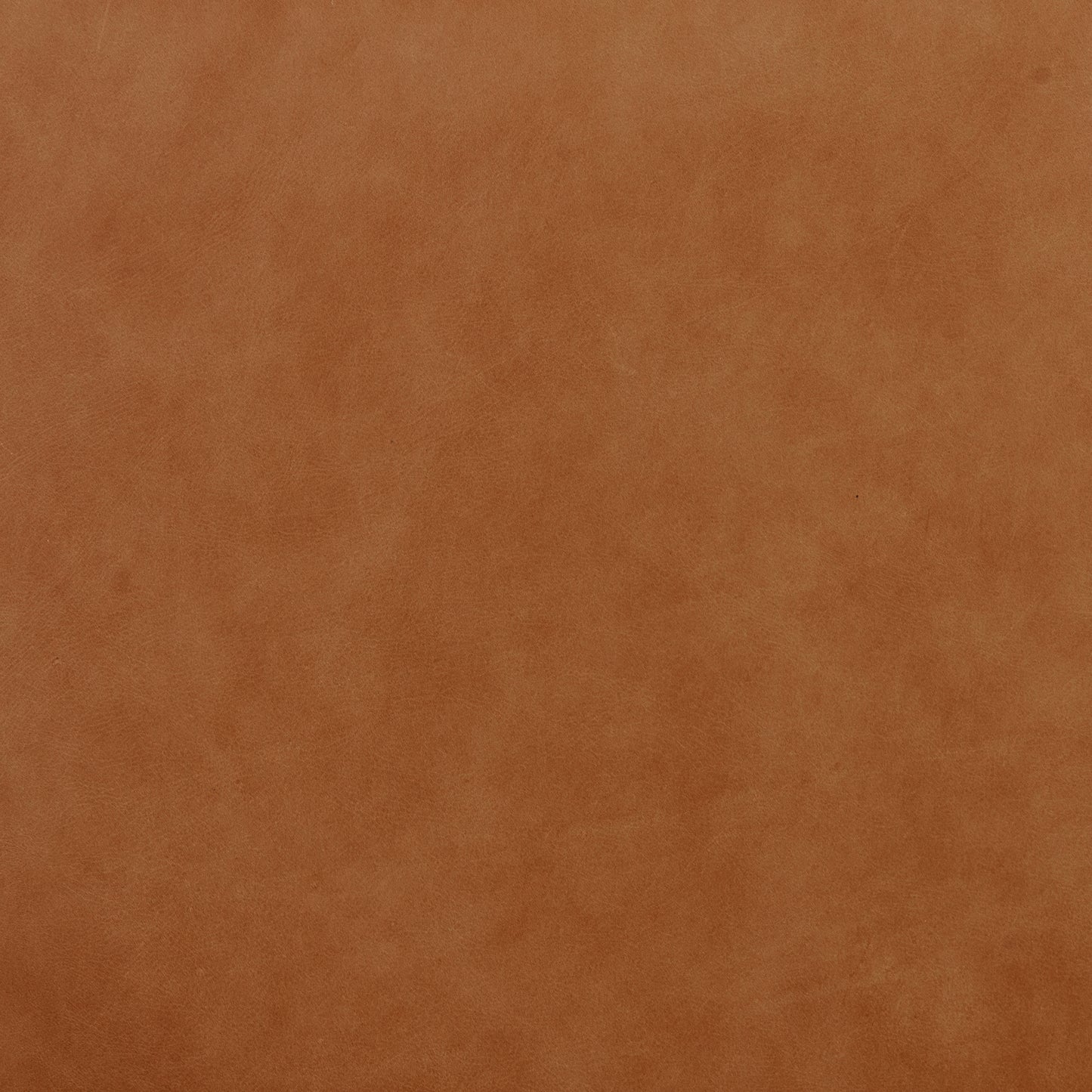 Cura 53.5" Leather Bench | Cognac Tan