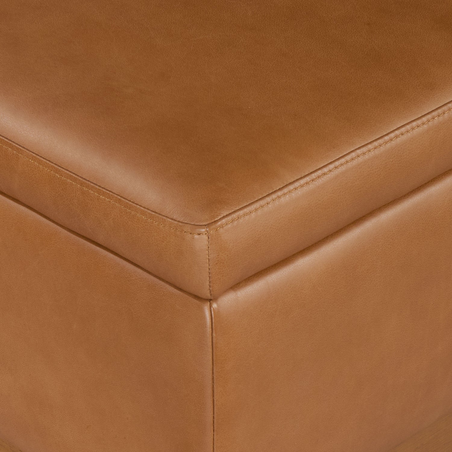 Zyon Leather Storage Ottoman (35