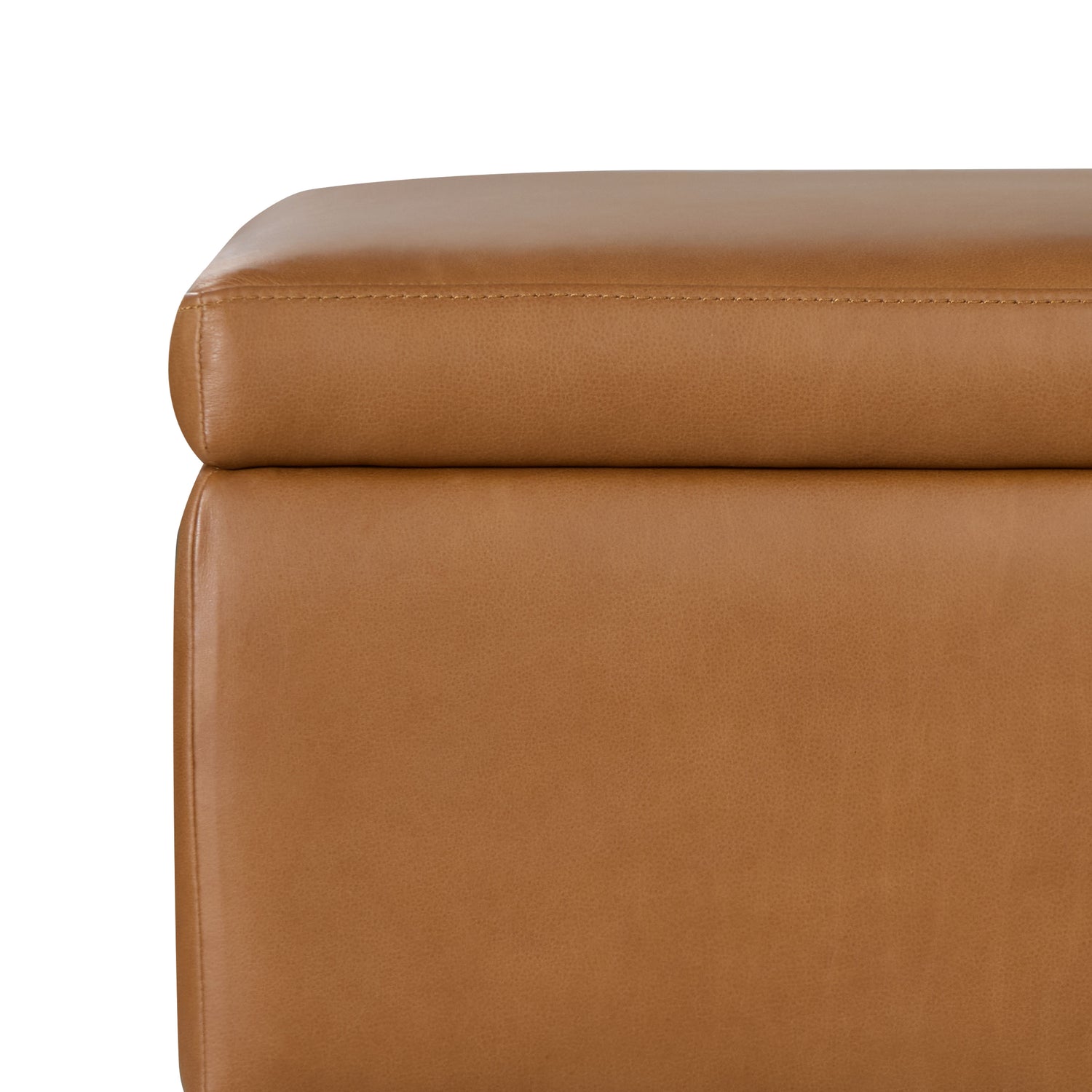 Zyon Leather Storage Ottoman (35