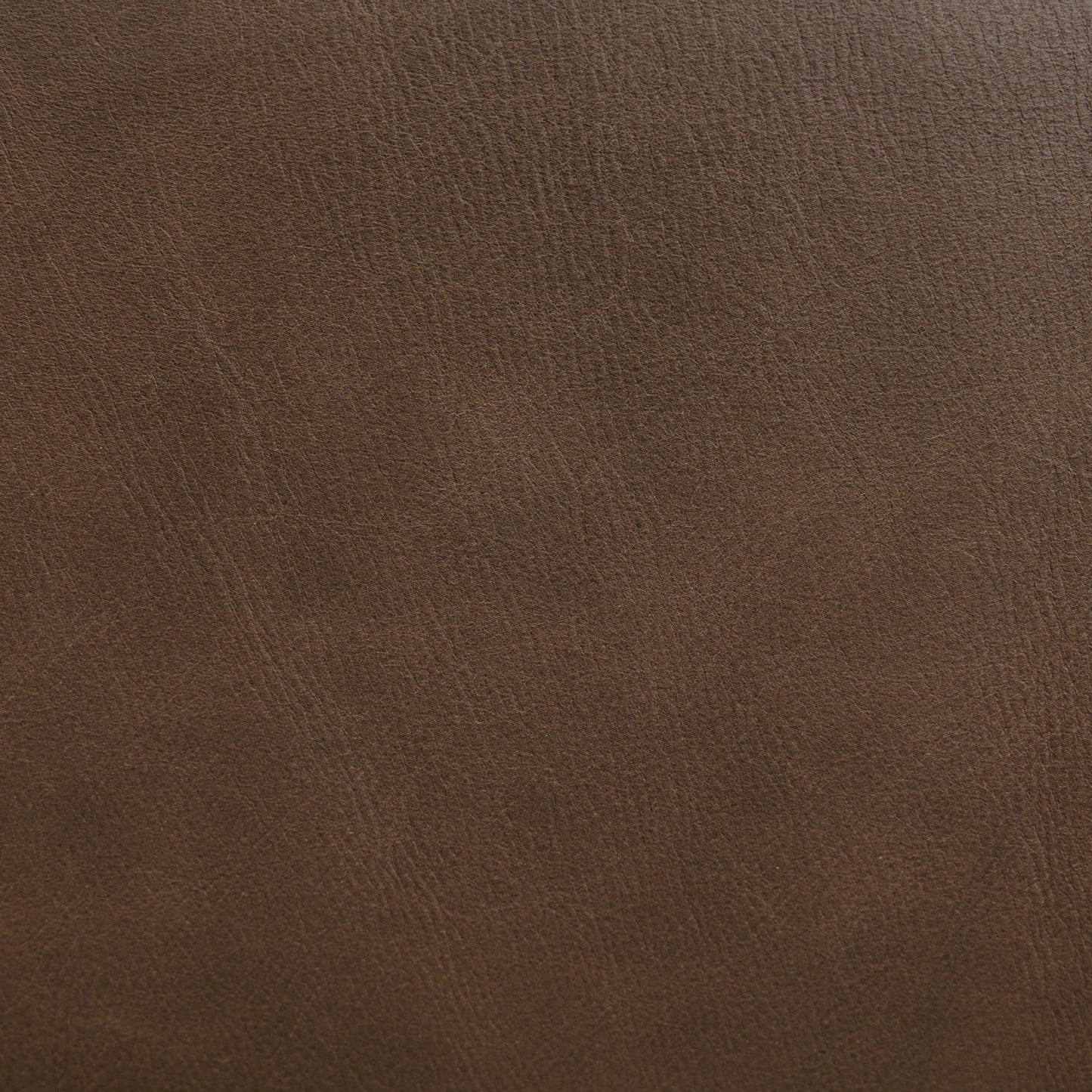 Lapua 55" Leather Bench | Cocoa Brown