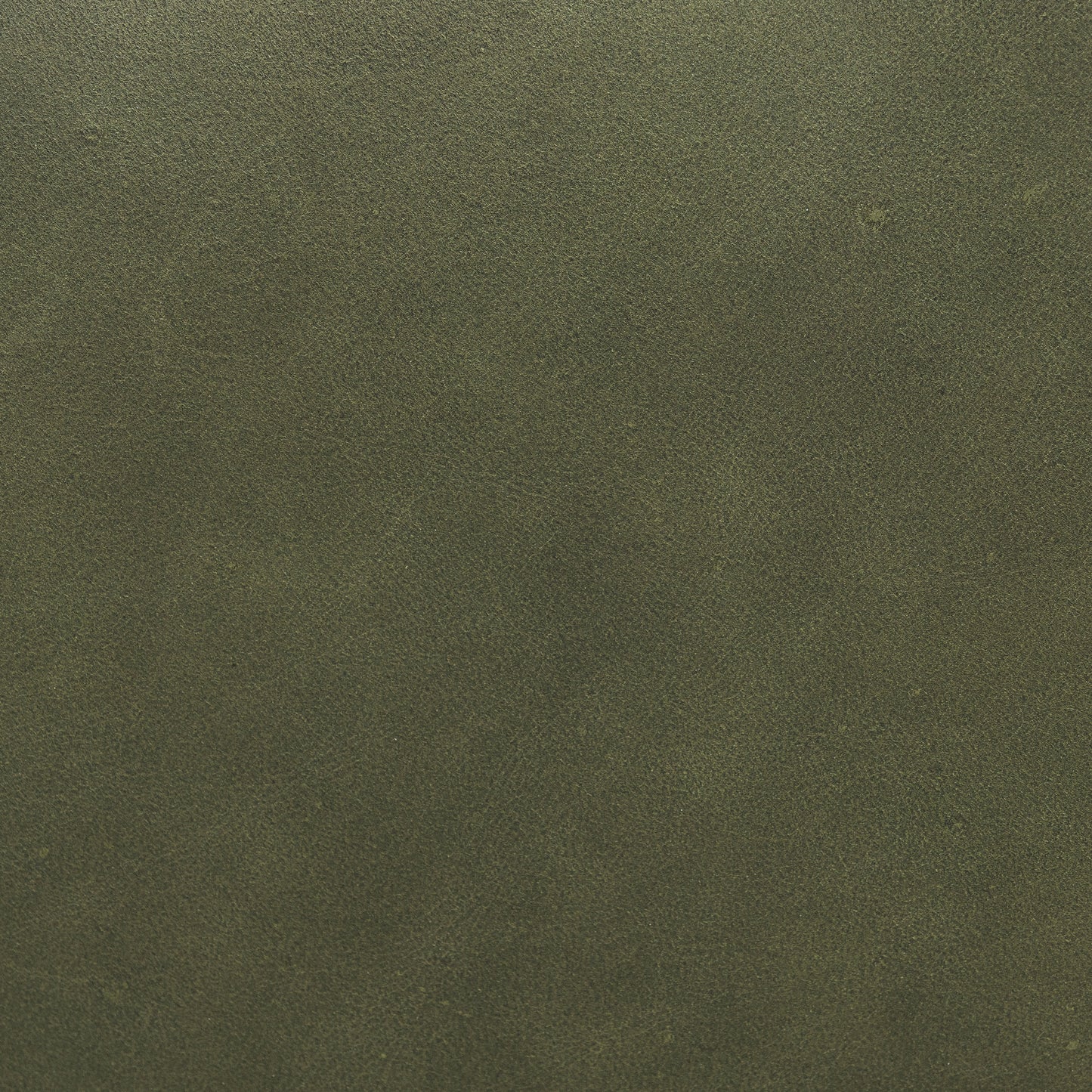 Lapua 55" Leather Bench | Olivine Green