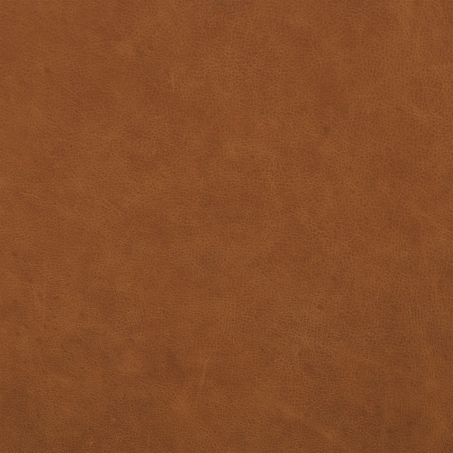 Zyon Leather Lounge Chair | Saddle Tan