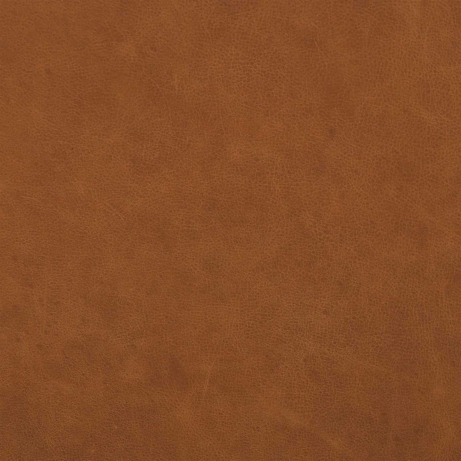 Zyon Leather Lounge Chair | Saddle Tan 