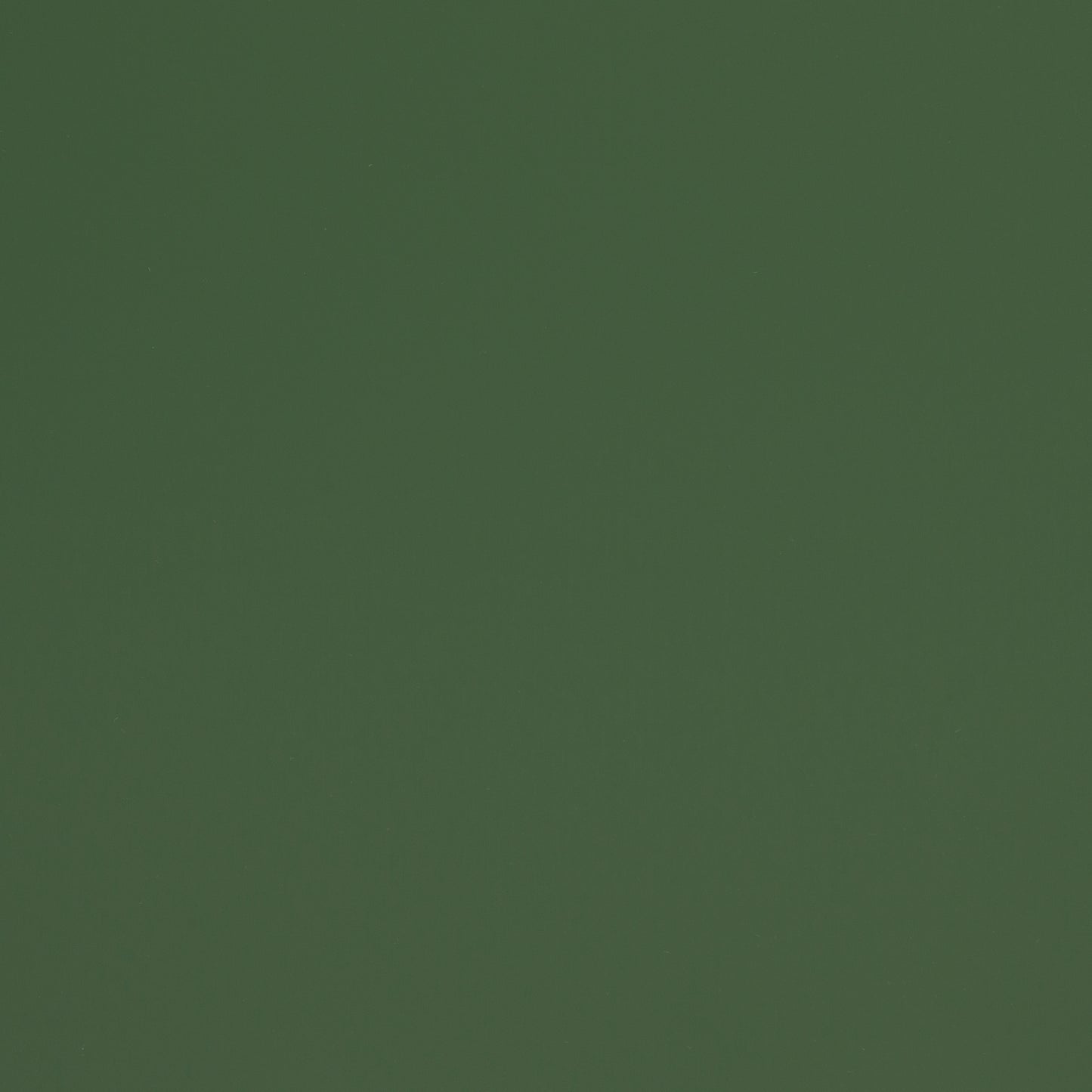 Padua 62" Bookshelf | Basil Green