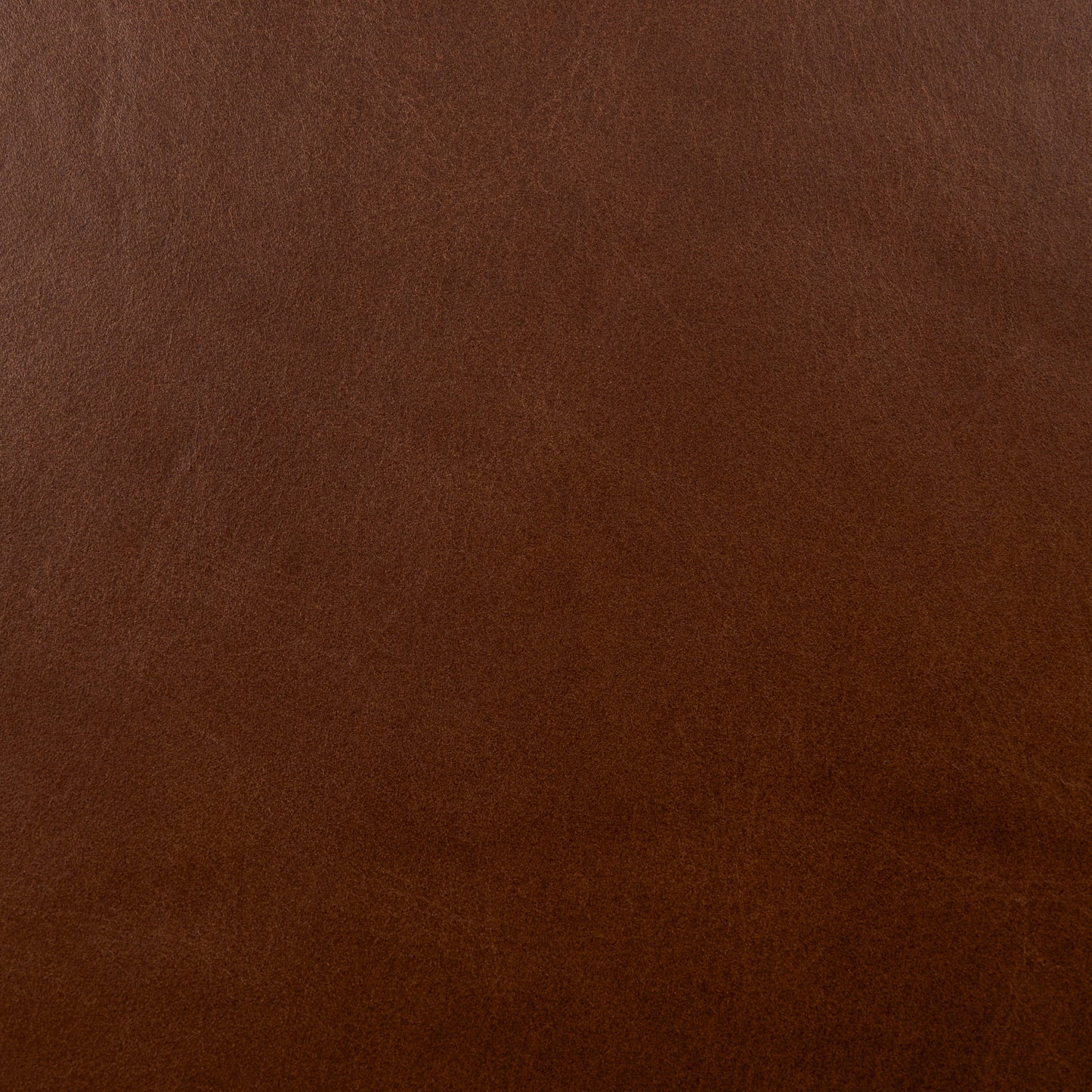 Giza Lounge Chair 2.0 | Oscuro Brown | Set of 2