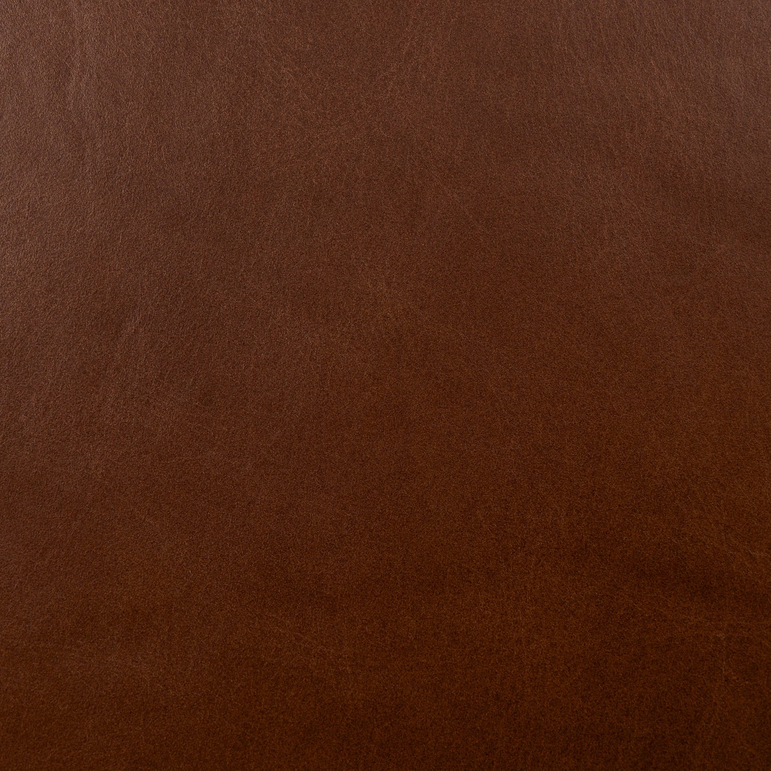 Giza Lounge Chair 2.0 | Oscuro Brown | Set of 2 