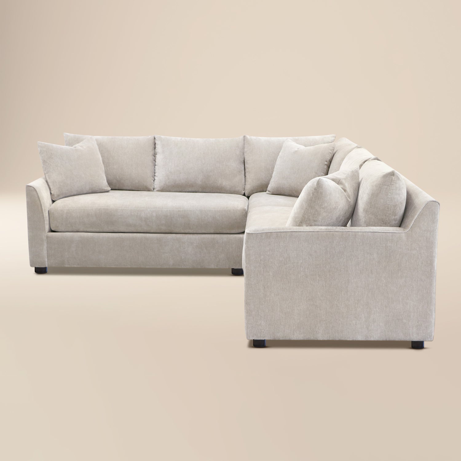 Aster 151.5