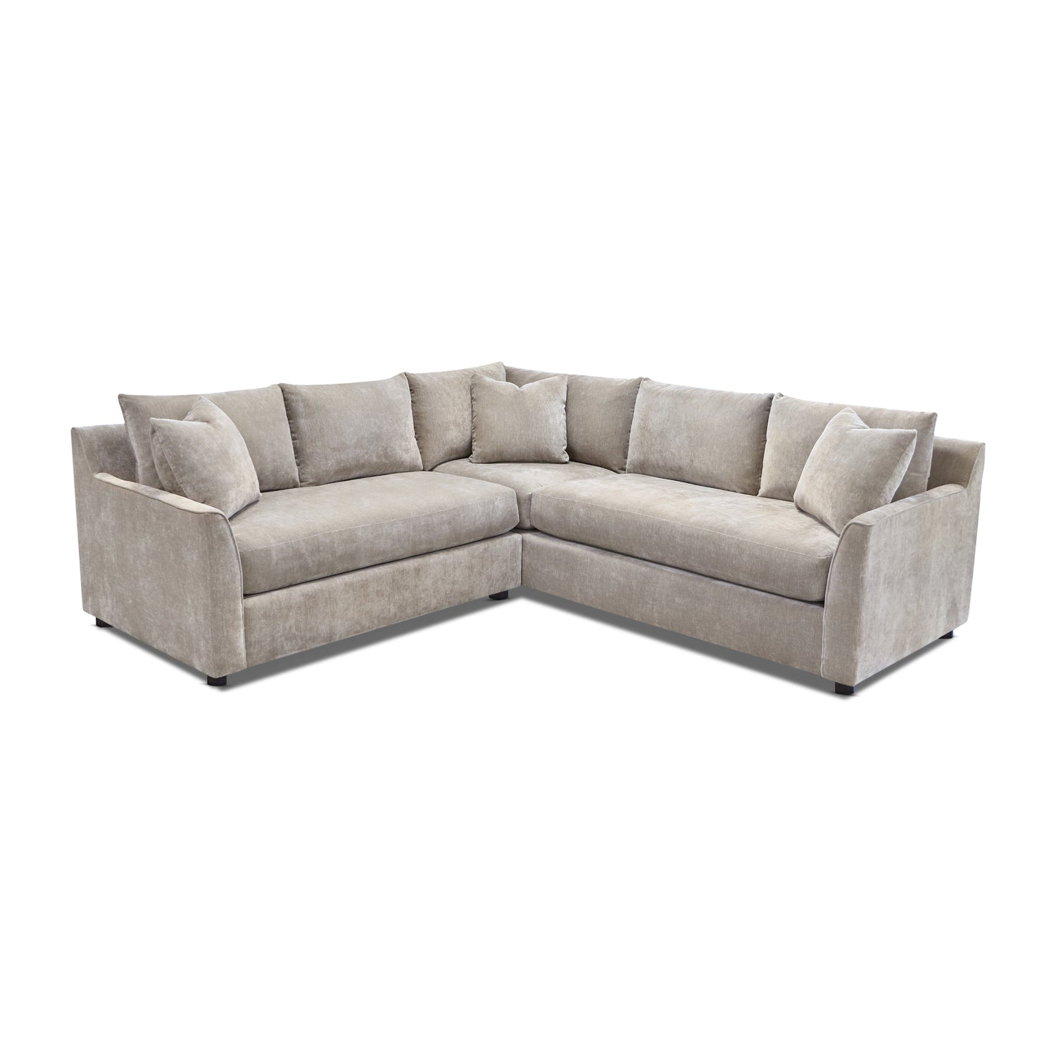 Aster 151.5