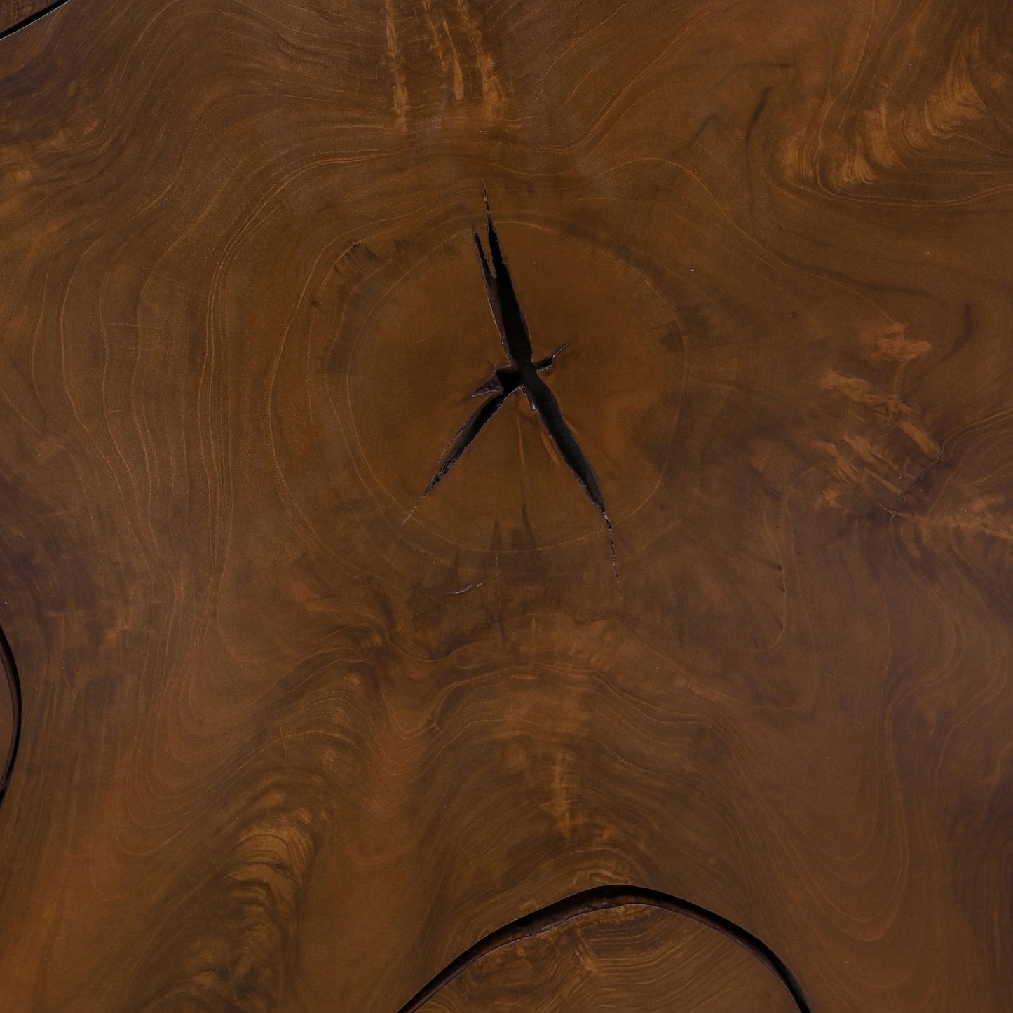 Soren 55" Teak Root Coffee Table | Walnut