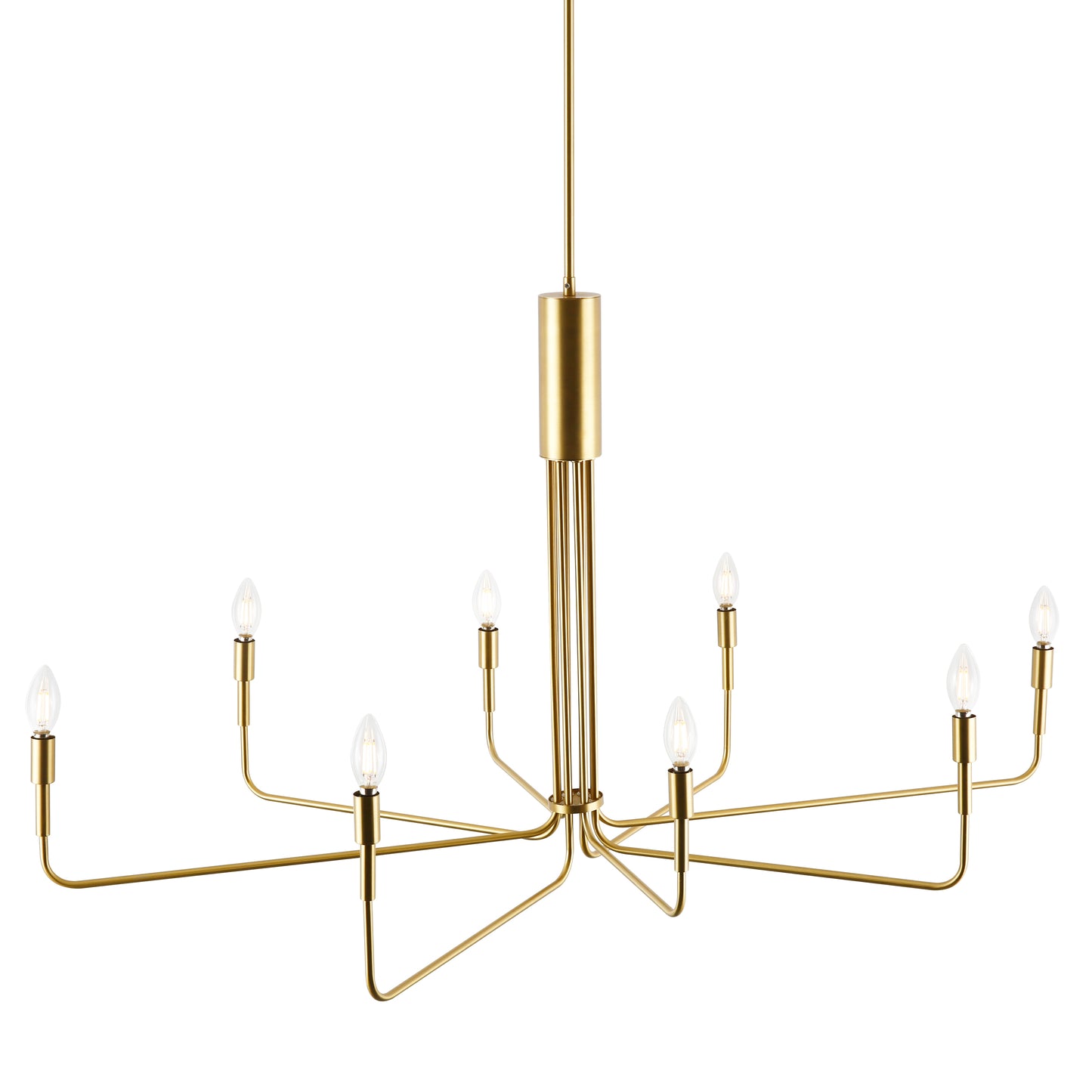 Bella 8-Light Chandelier | Brushed Brass