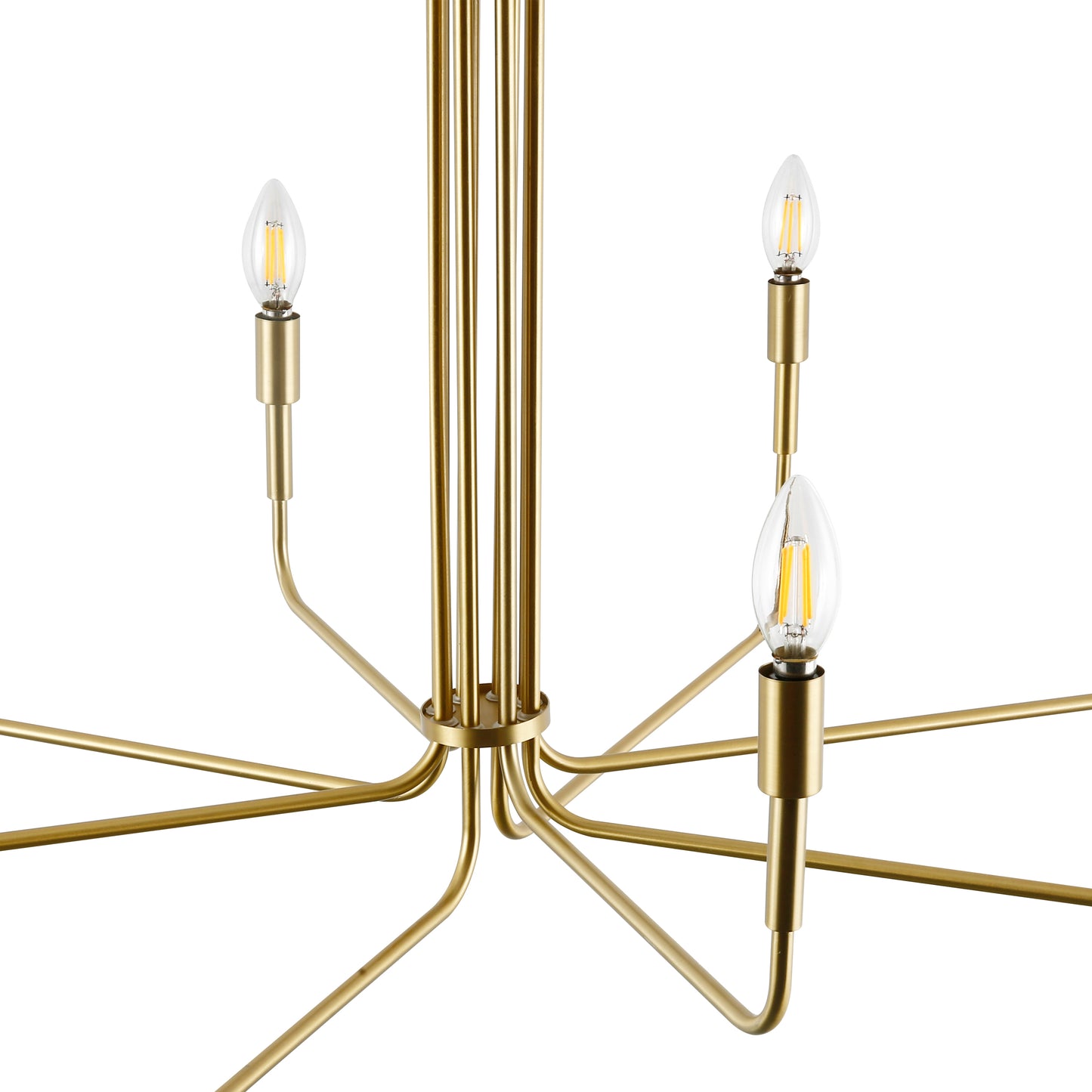 Bella 8-Light Chandelier | Brushed Brass