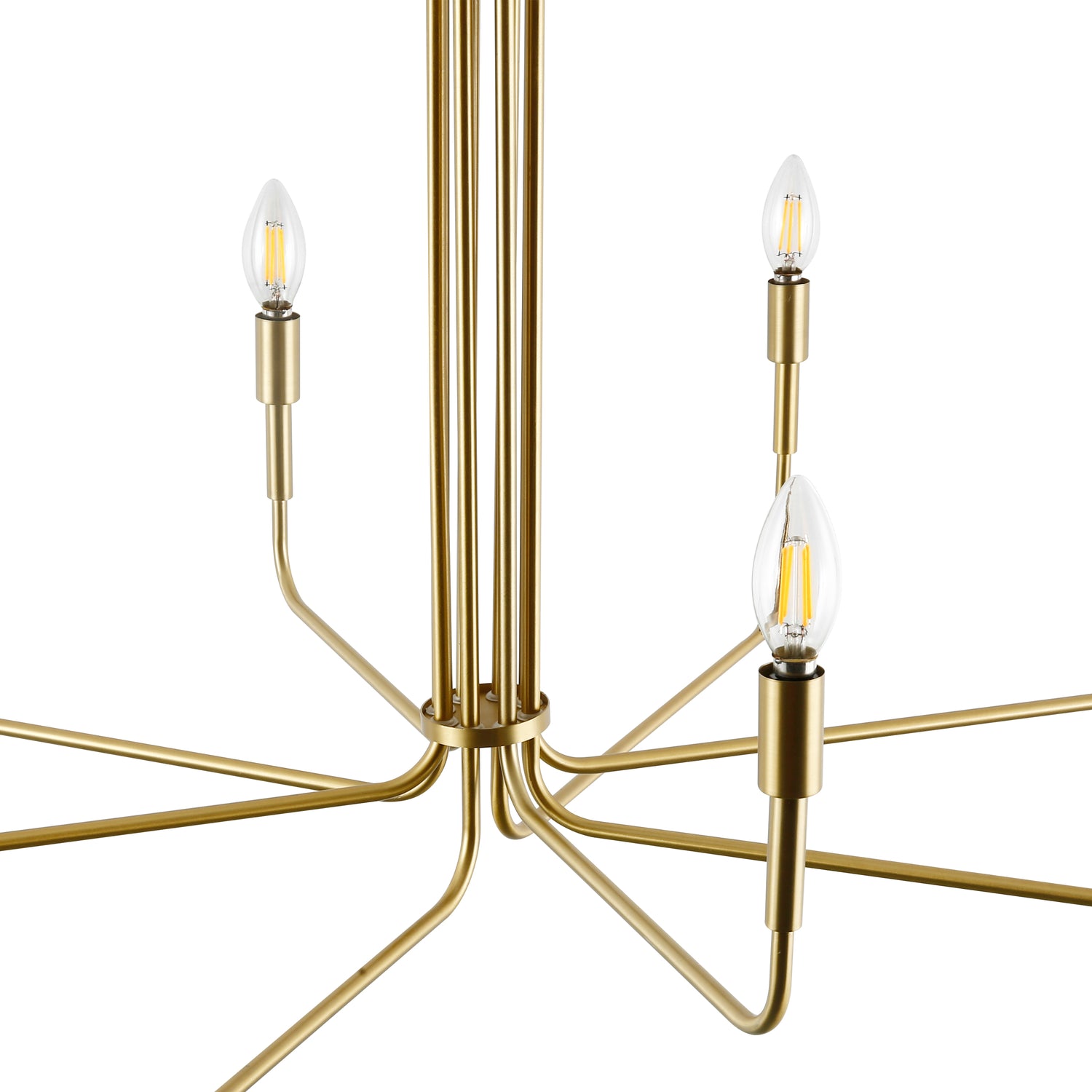 Bella 8-Light Chandelier | Brushed Brass 