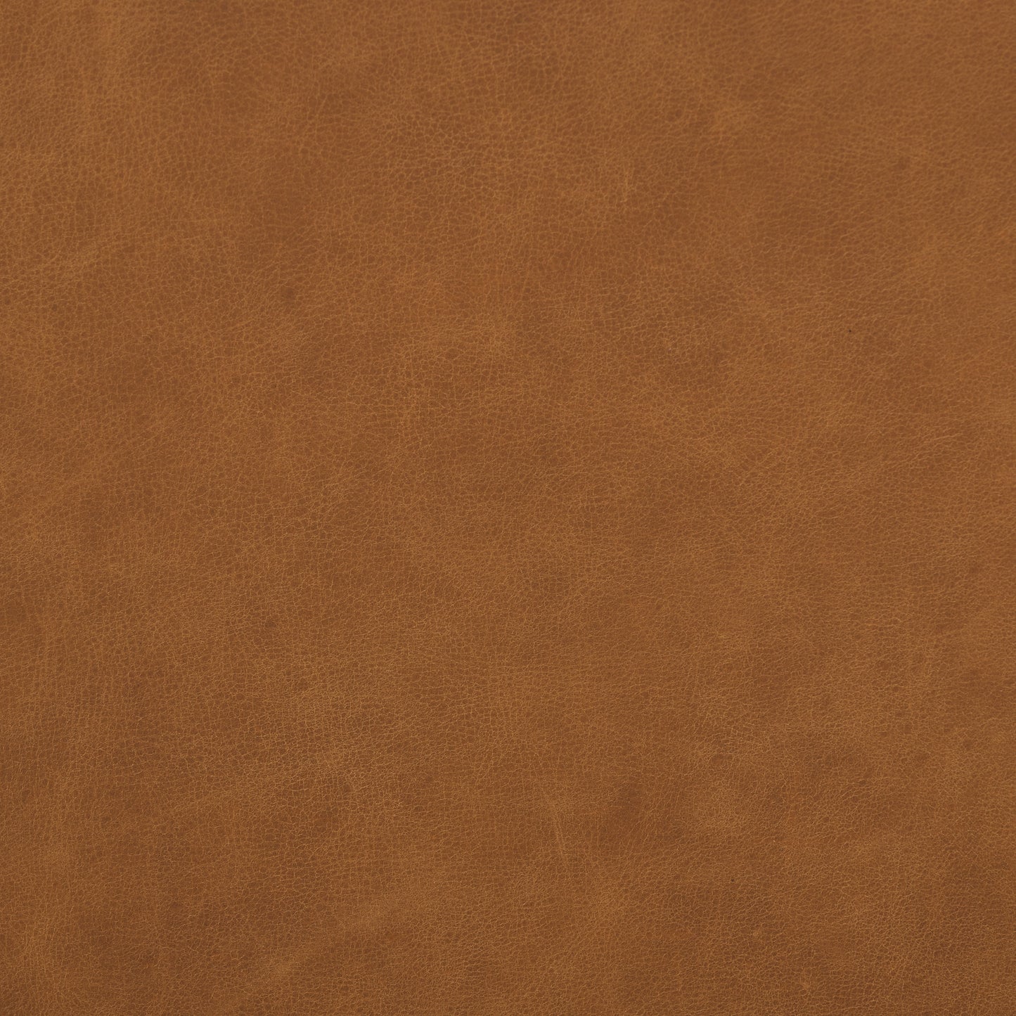 Saddle Tan