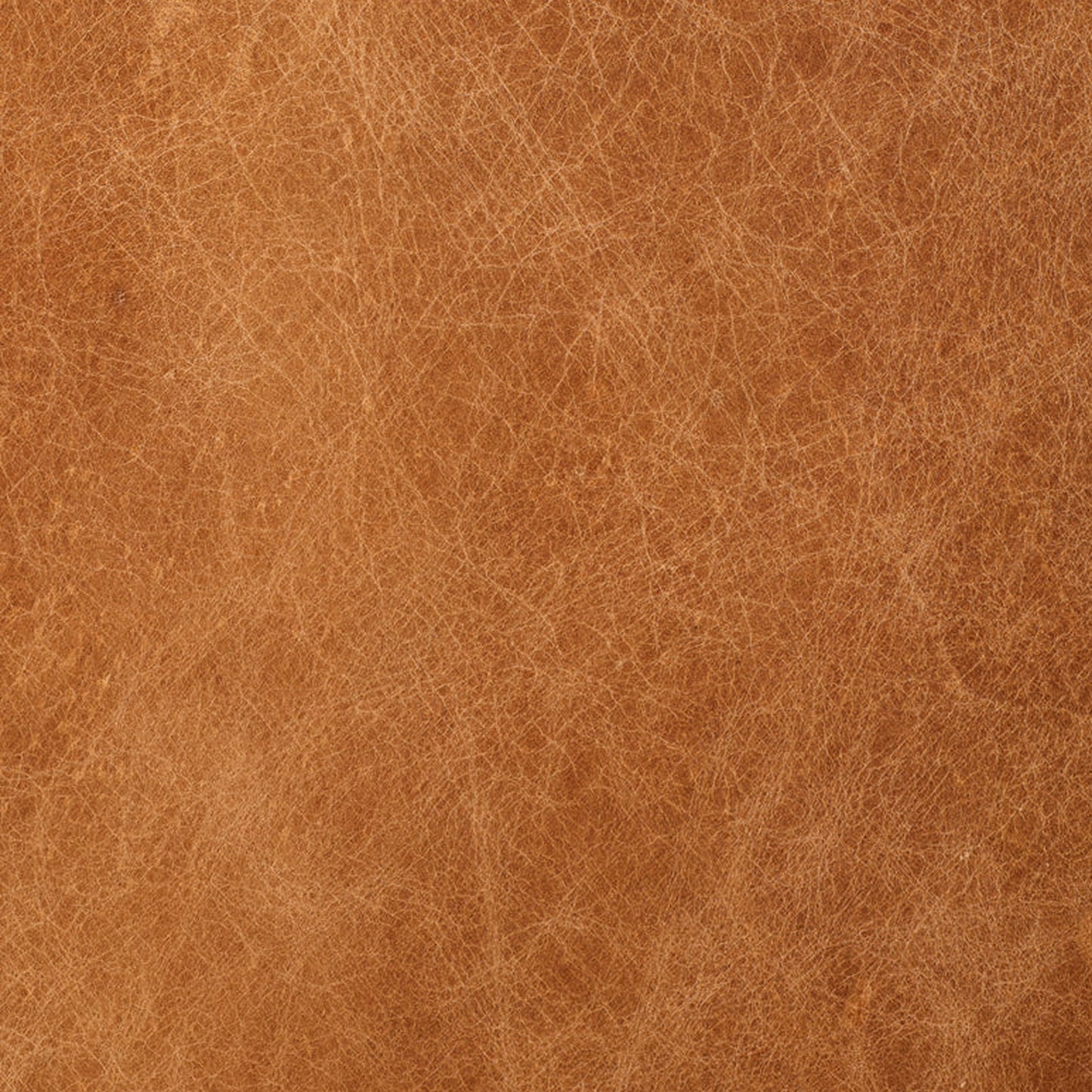 Harper 82" Leather Pull-Out Convertible Sleeper Sofa | Cognac Tan
