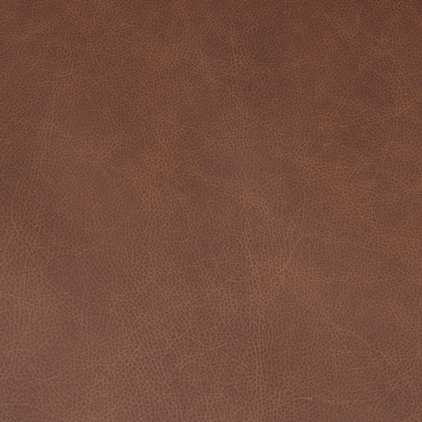 Canale 99" Leather Sofa | Caramel Brown