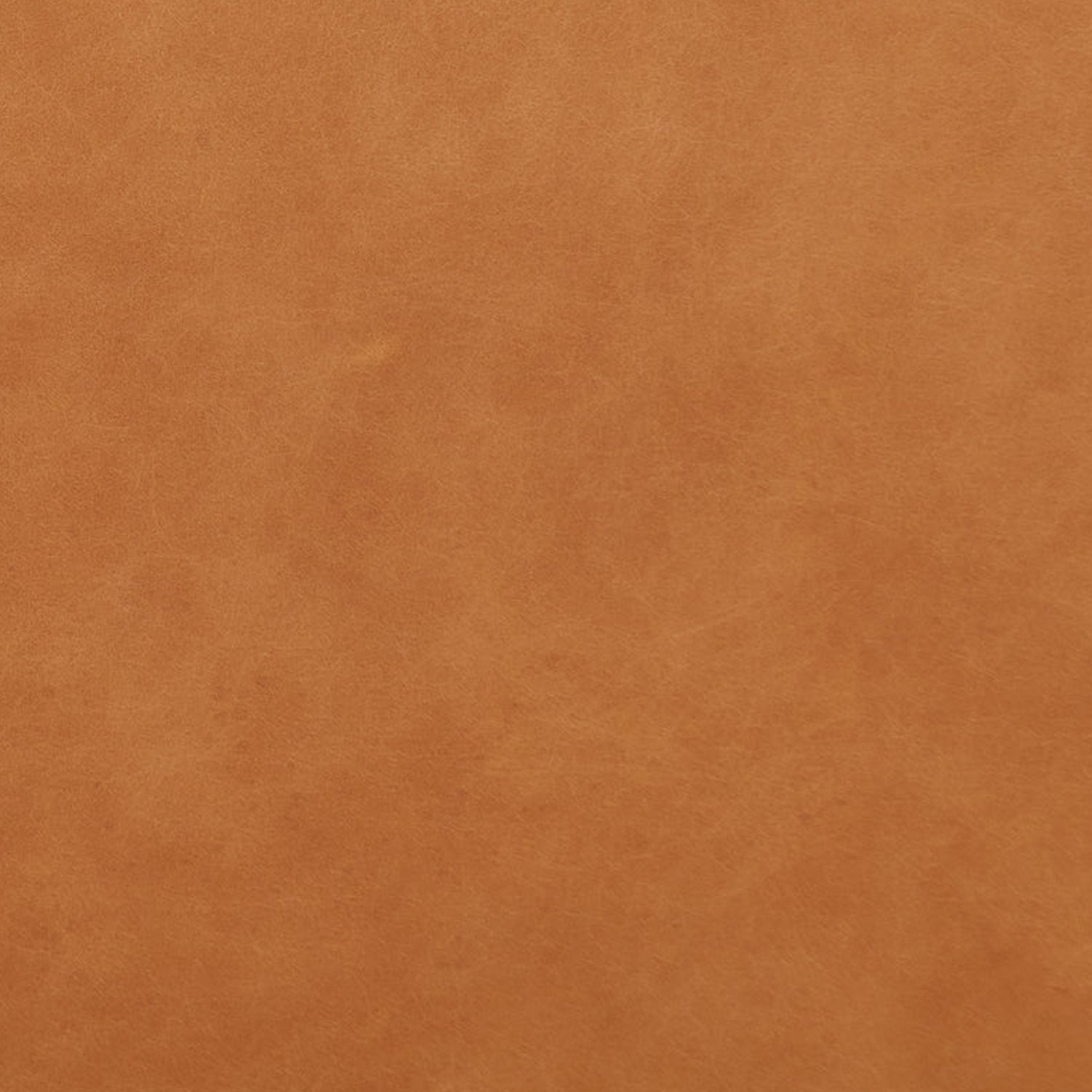 Alma Leather Swivel Chair | Bourbon Tan 