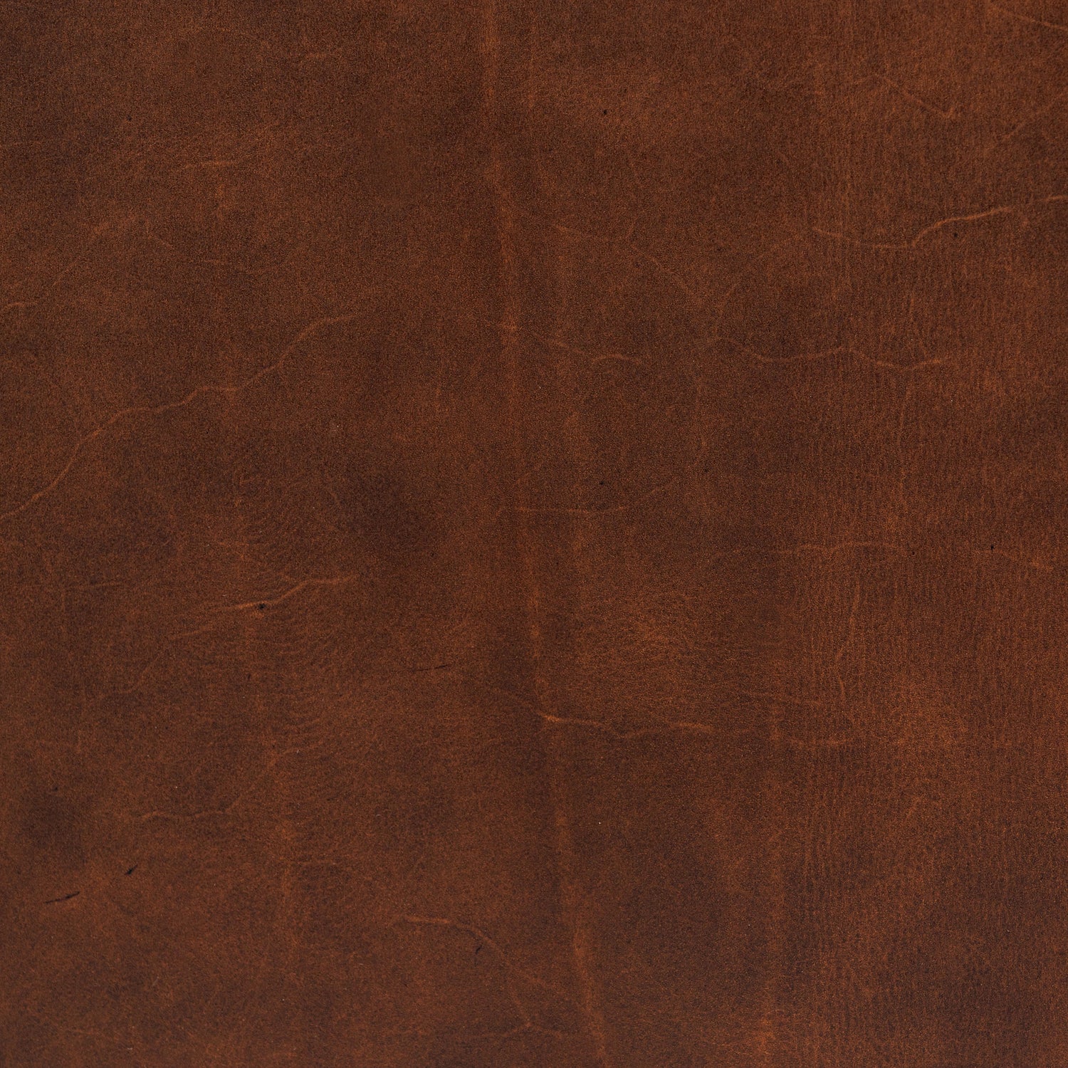 Lyon Leather Lounge Chair | Oscuro Brown | Set of 2 