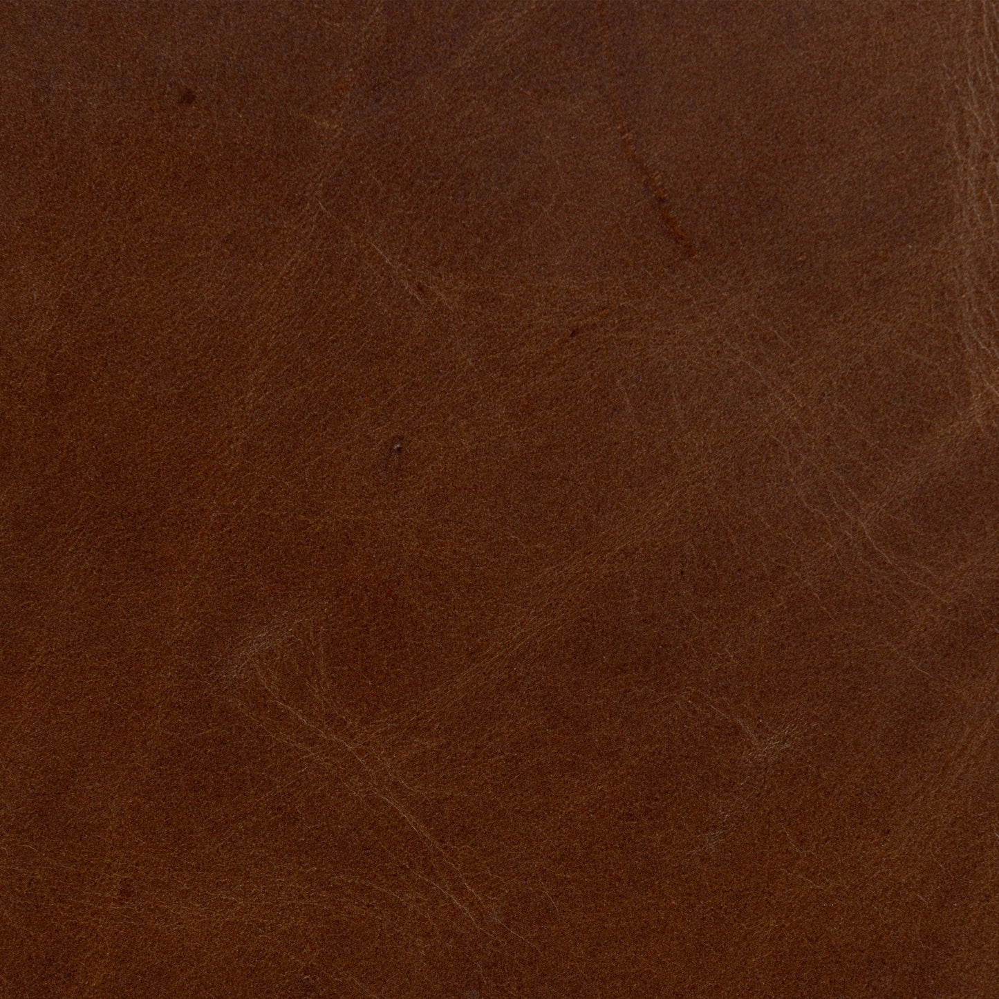 Giza Leather Lounge Chair | Oscuro Brown | Single