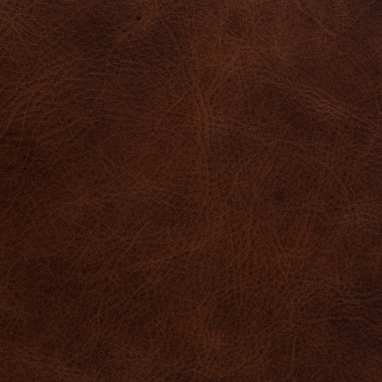 Giza Leather Lounge Chair | Oscuro Brown | Single