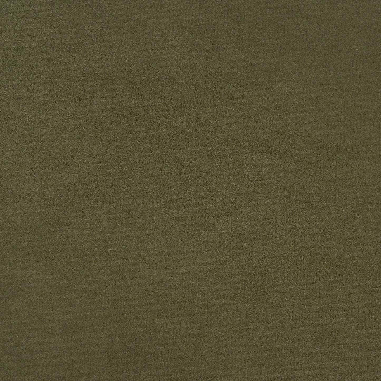 Avocado Green