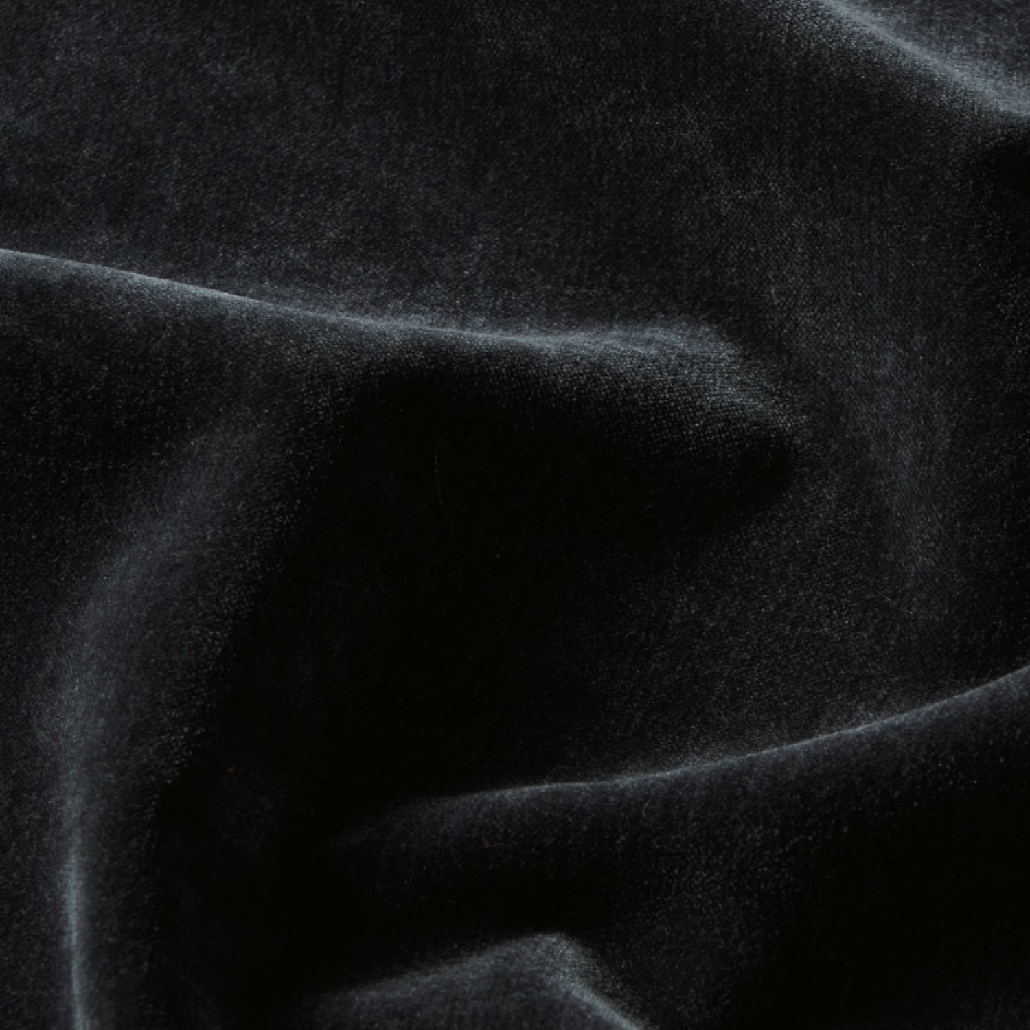 Chenille Velvet 
