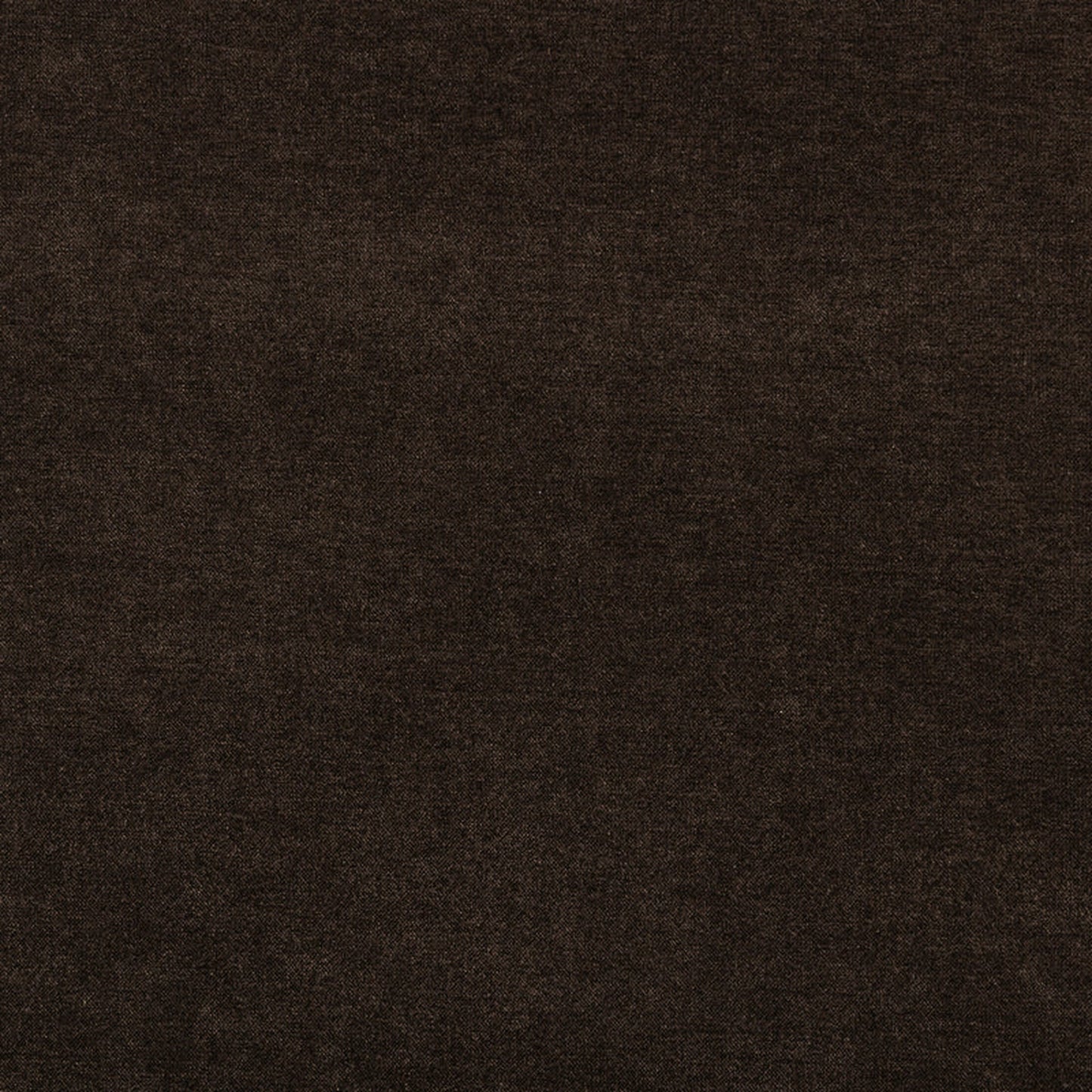 Napa 82" Pull-Out Sofa Bed | Sable Brown