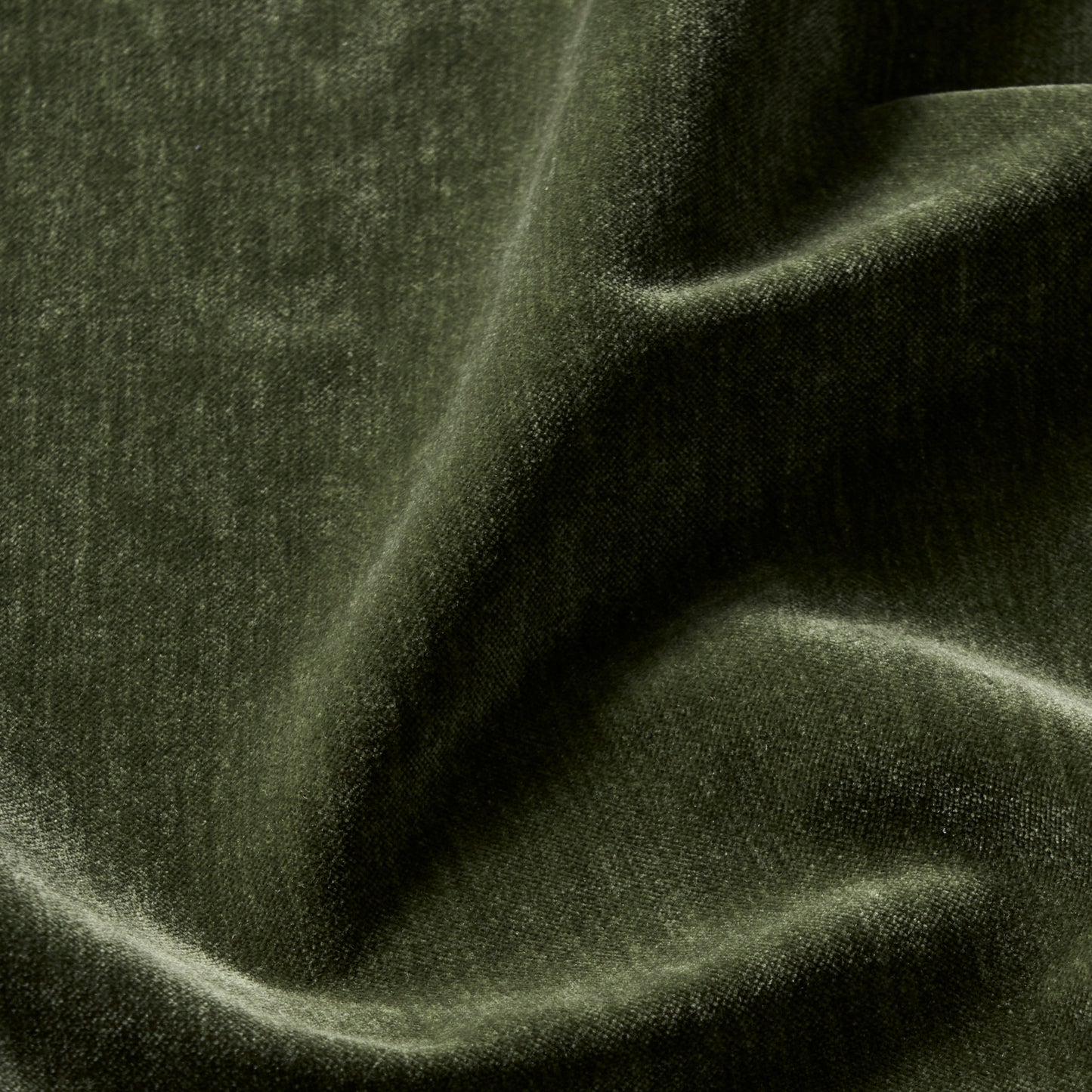 Chenille Velvet