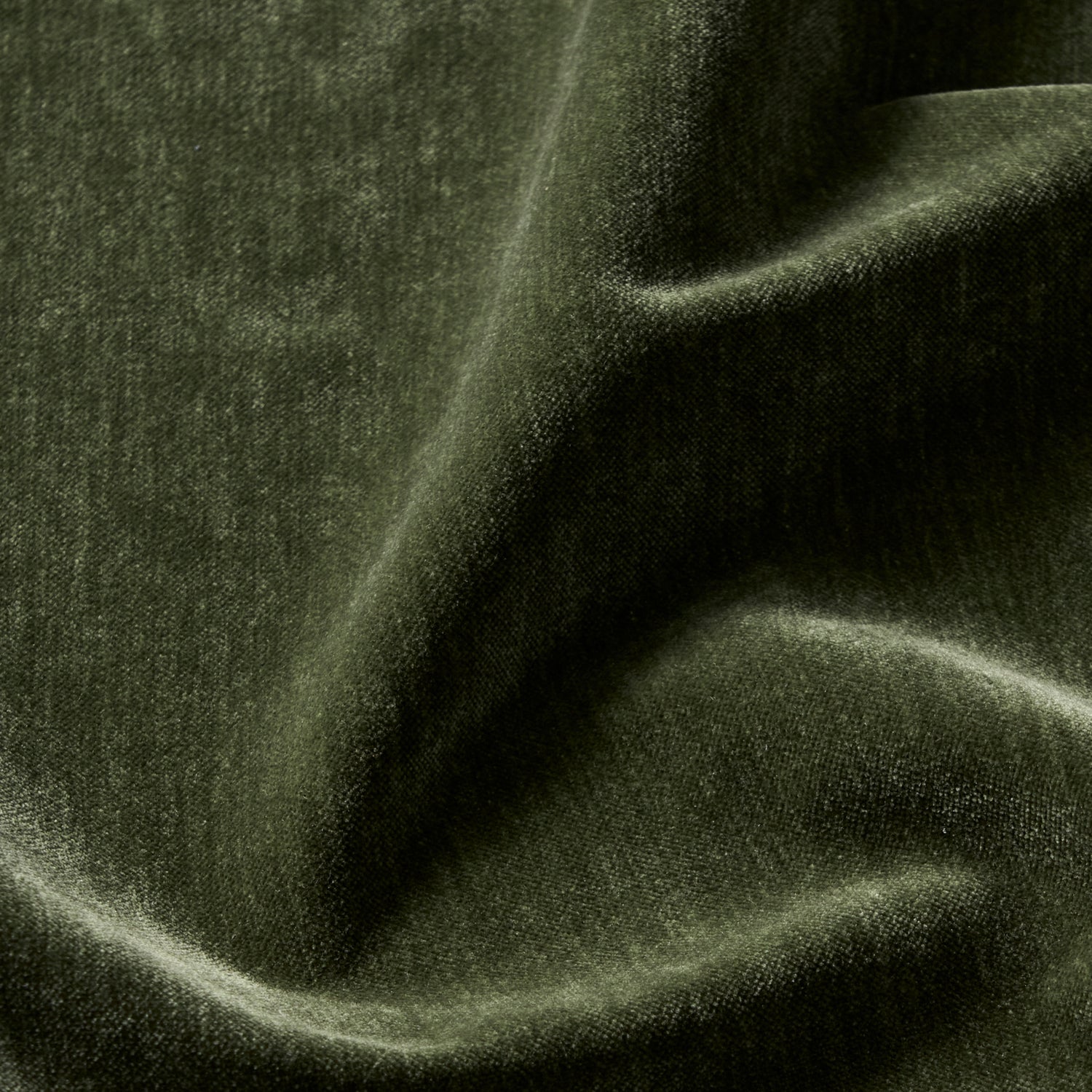 Chenille Velvet 