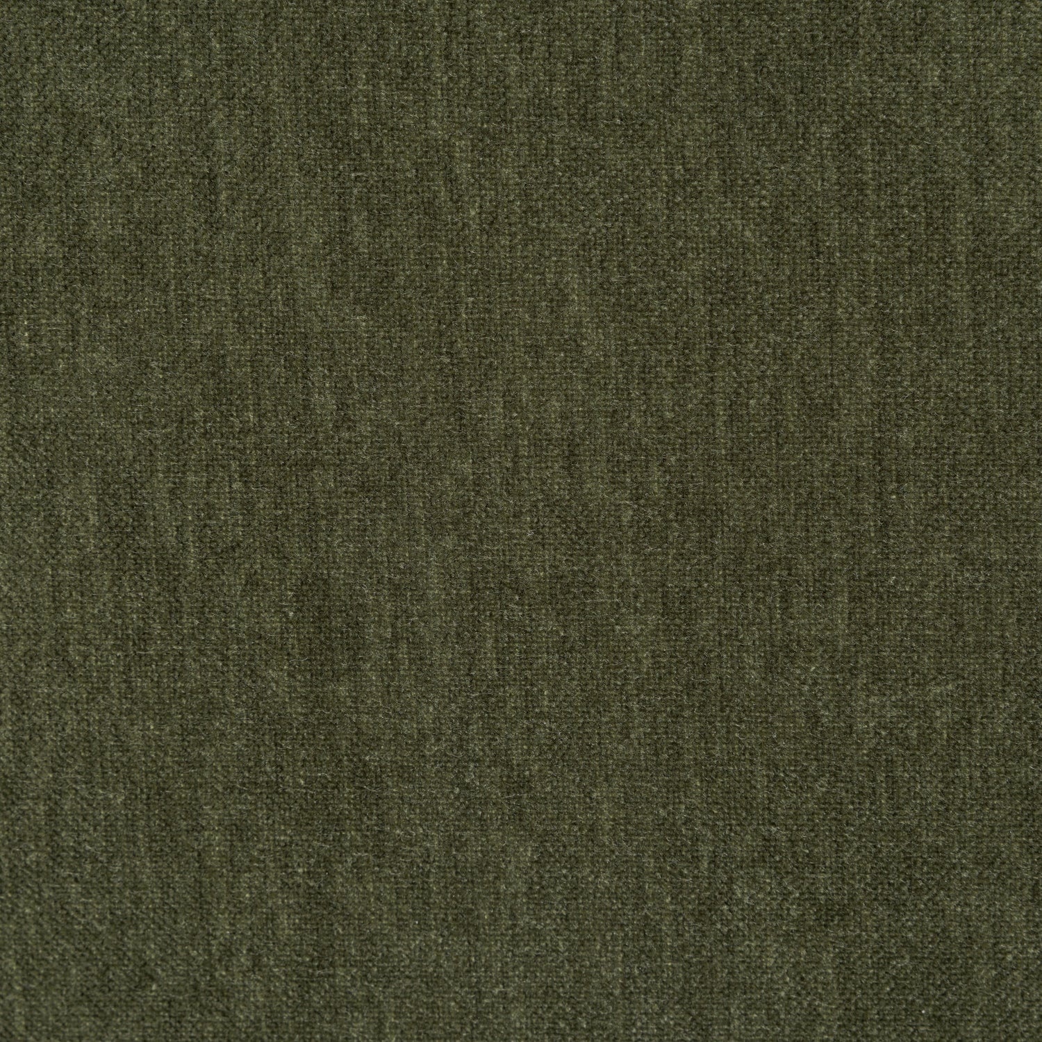 Chenille Velvet Sagano Green
