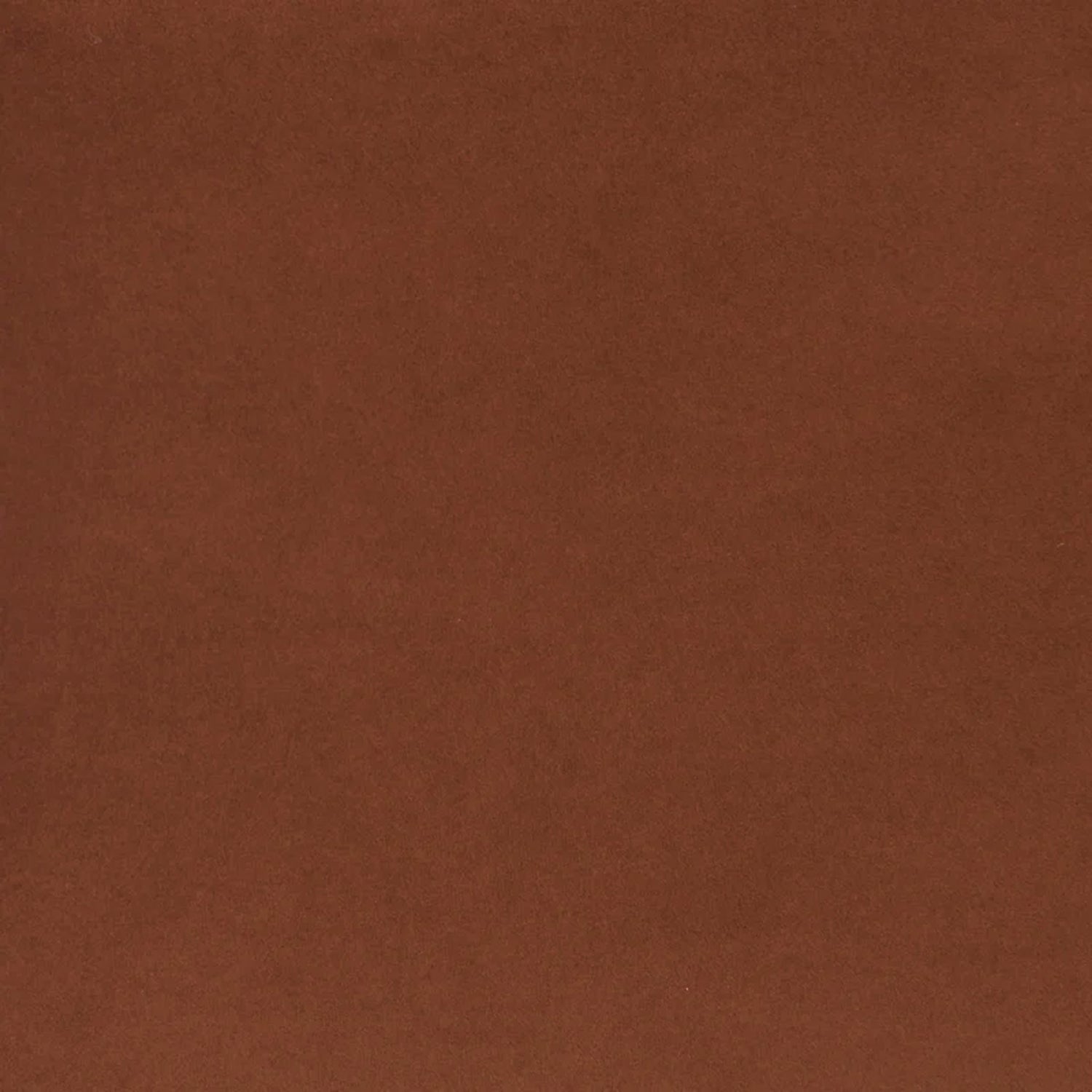 Ennis Lounge Chair | Shadow Rust 
