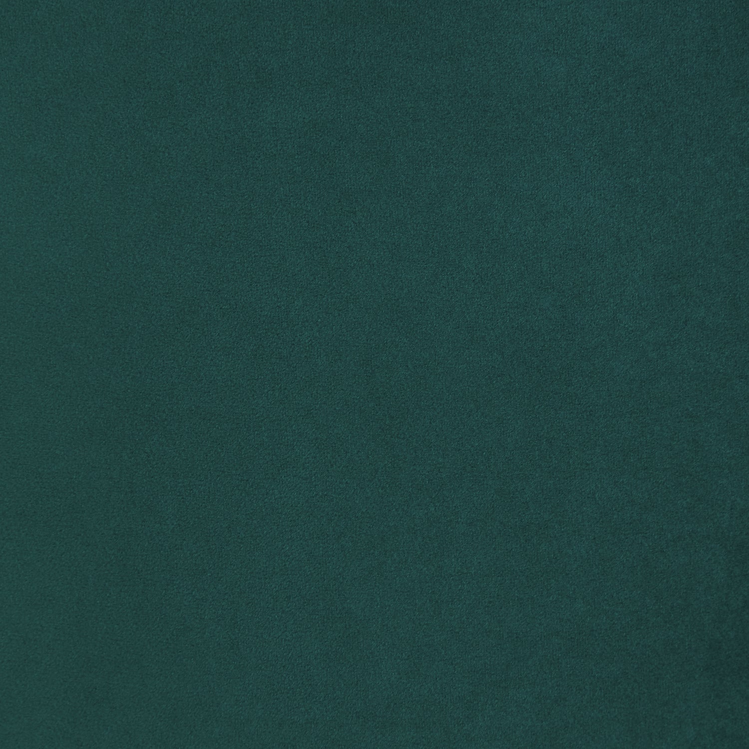 Zeno Lounge Chair | Shadow Teal 