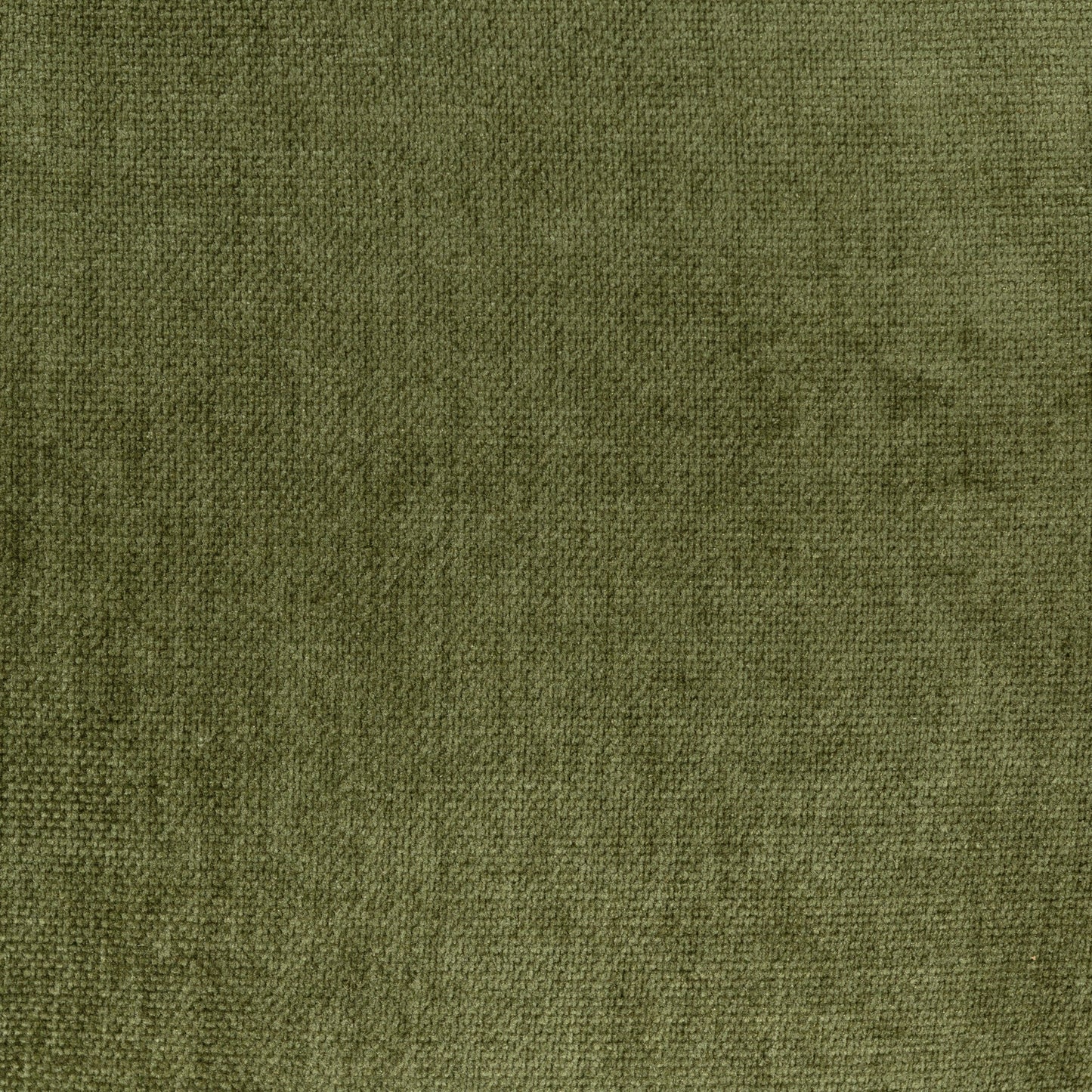 Distressed Green Velvet