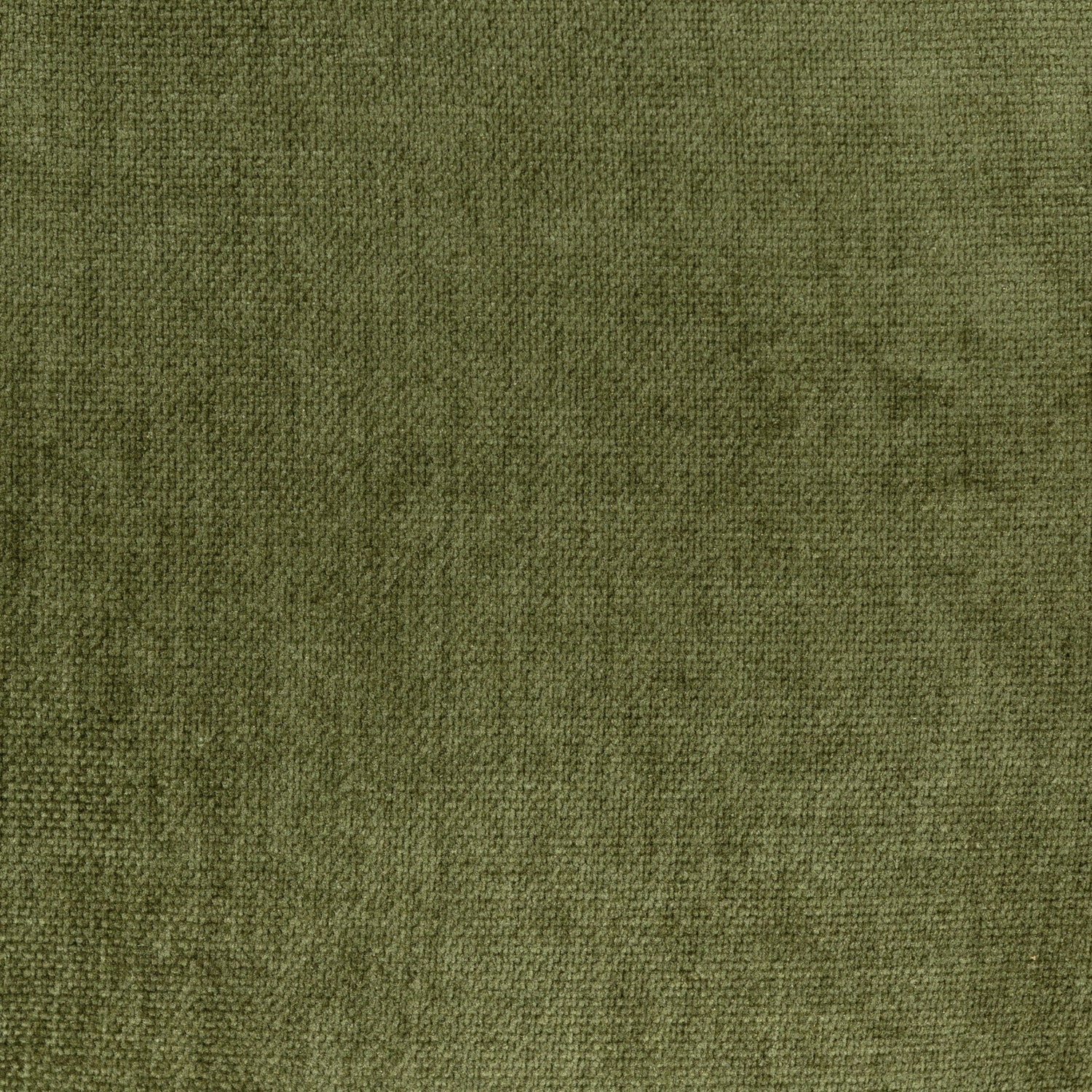 Chenille Velvet Distressed Green Velvet
