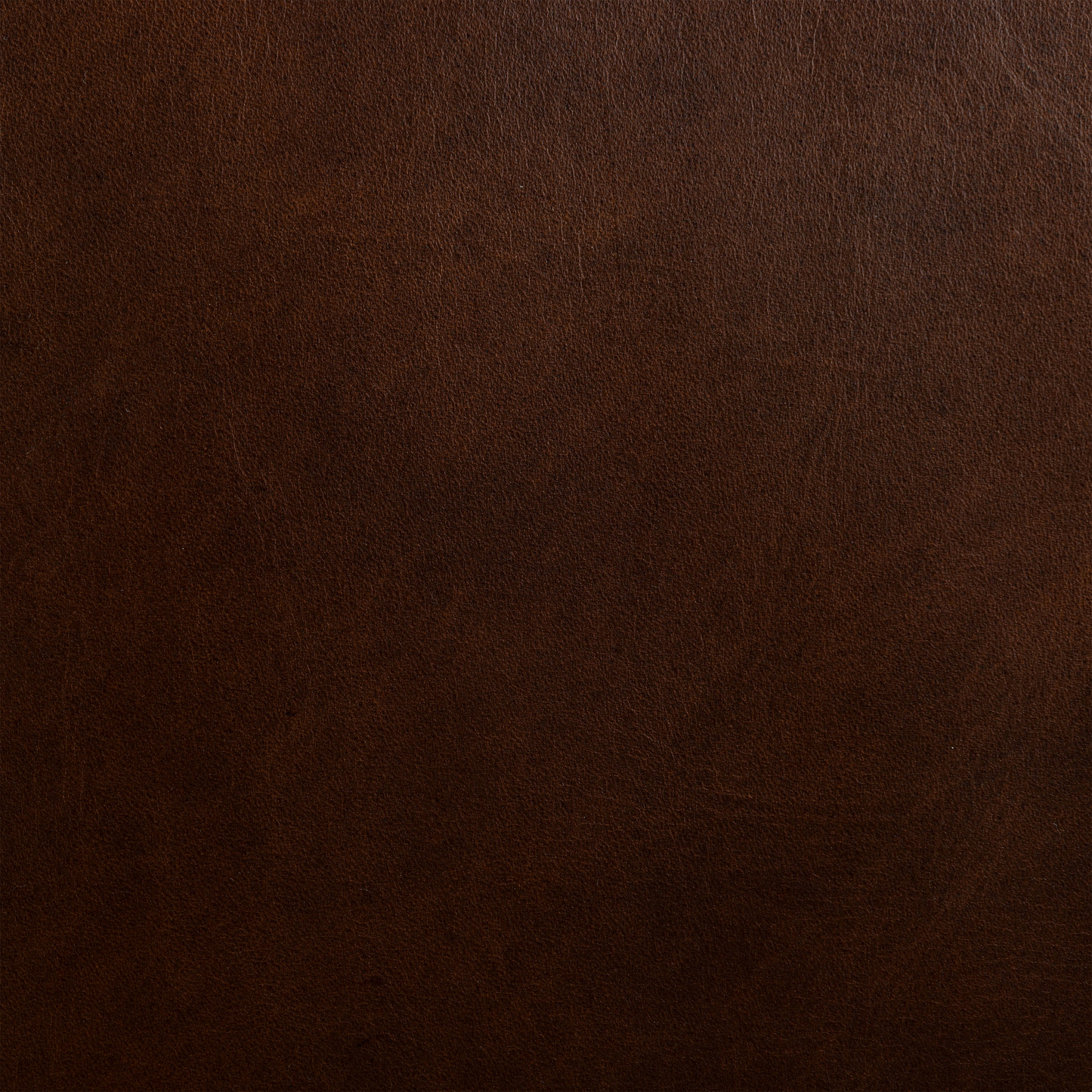 Oscuro Brown
