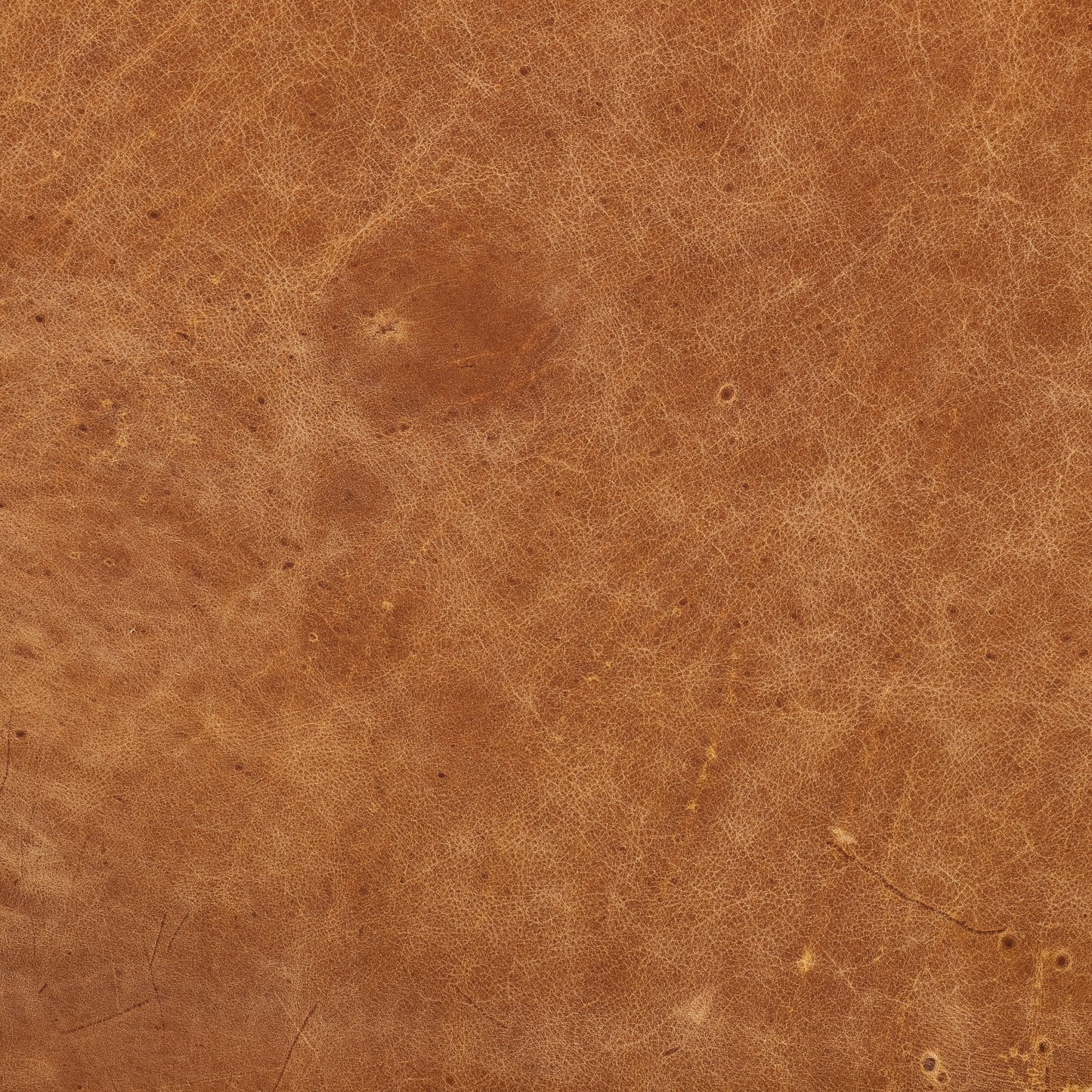 Girona 88" Leather Sofa | Cognac Tan