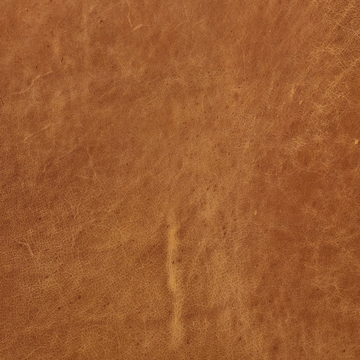 Girona 88" Leather Sofa | Cognac Tan